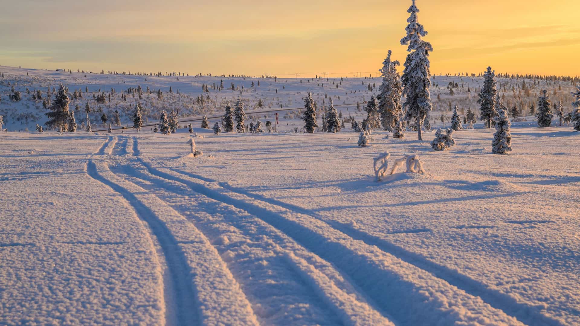 "A stunning winter landscape shot in Ivalo, Finland, with a road and tracks in the deep snow leading towards a line of snow-covered trees and a golden sunrise in the distance. "