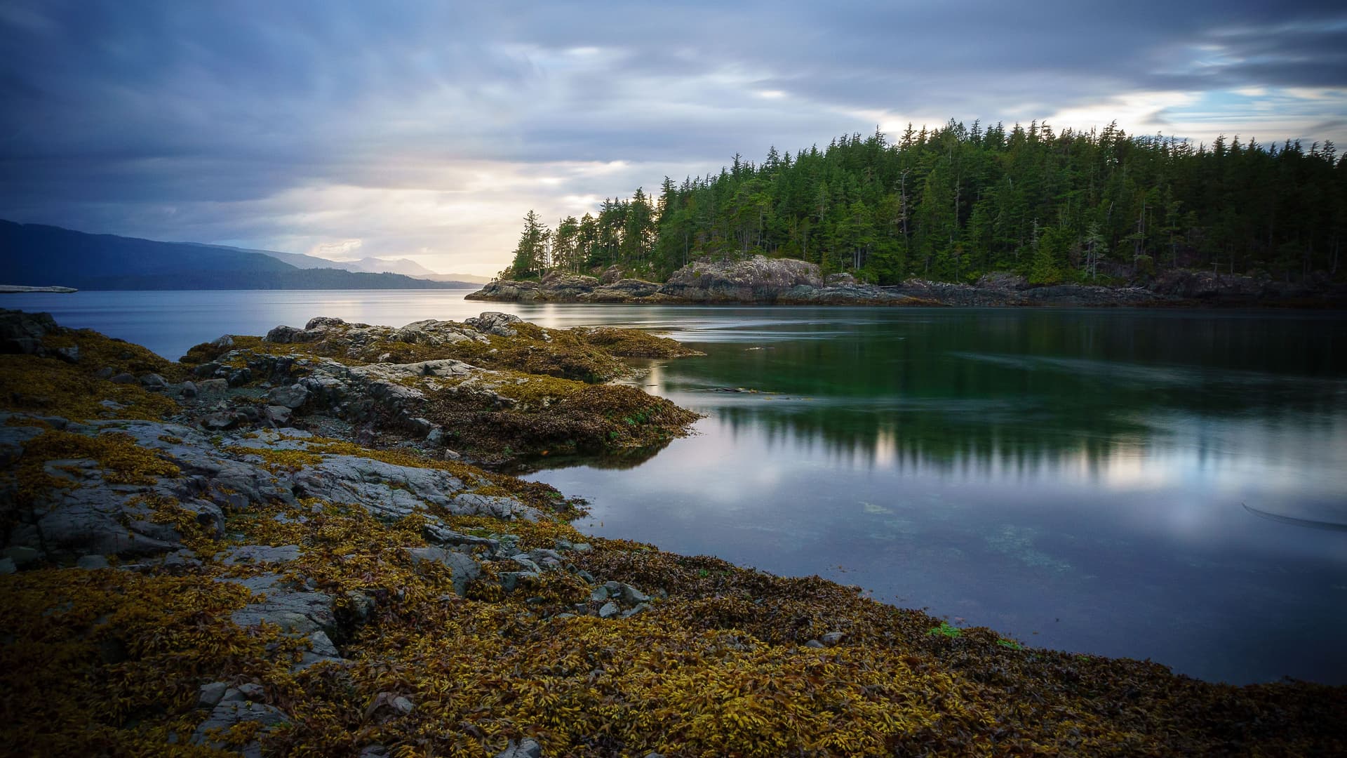 A tranquil view of Johnstone Strait, with calm water reflecting the forested coastline under a dramatic, cloudy sky.