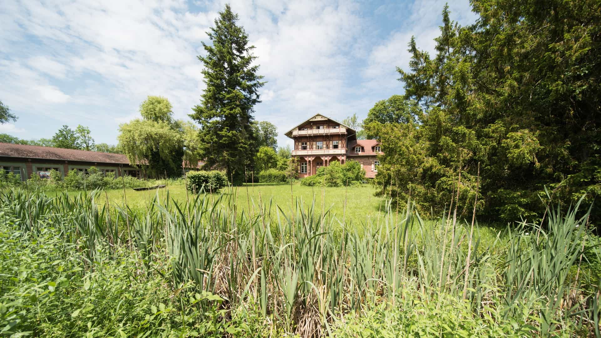 A historic, rustic house with red-brick accents and a wooden balcony is seen across a lush, overgrown field of tall grasses and cattails, surrounded by mature trees under a partially cloudy sky in Kembs, France.