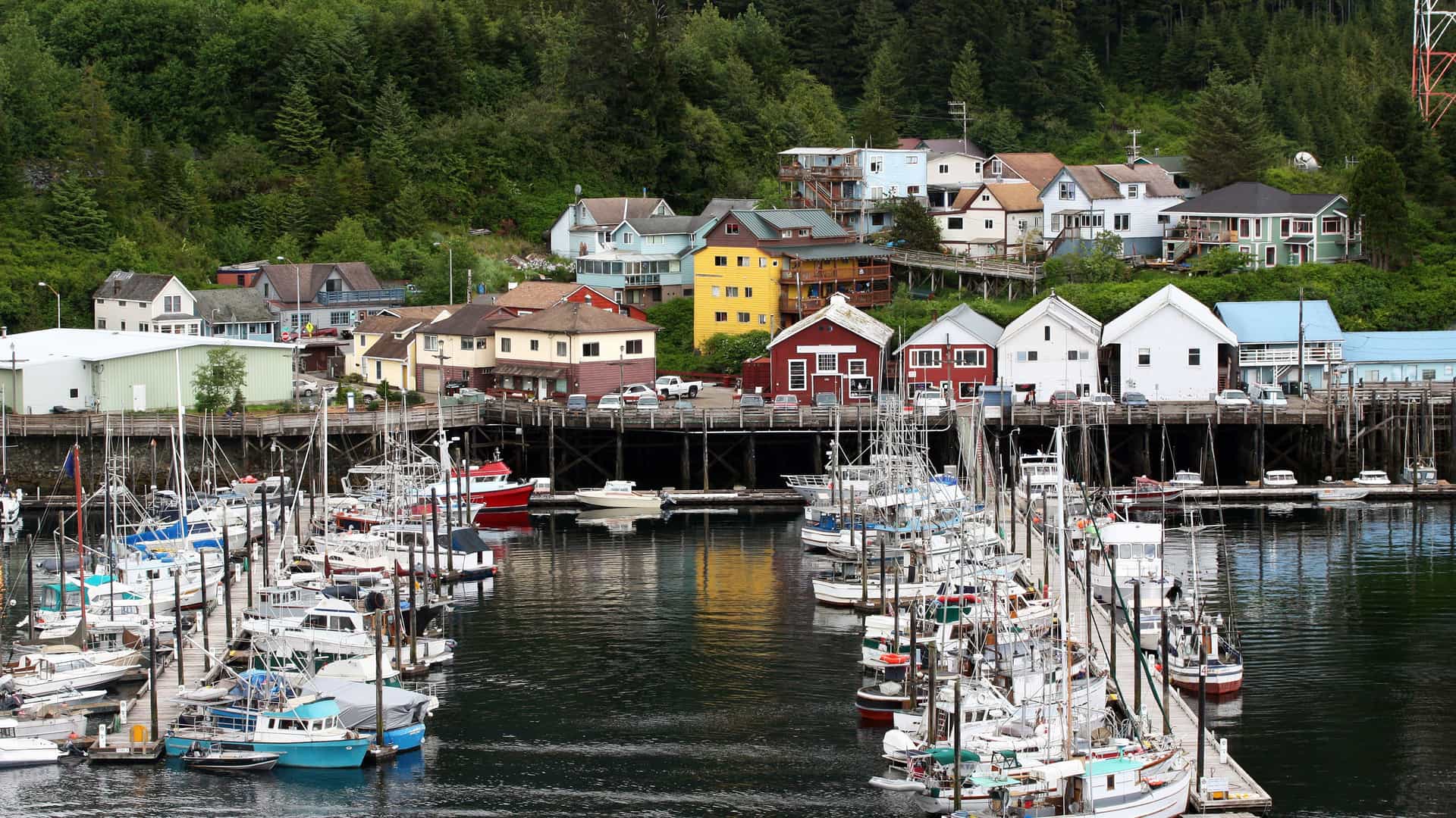 A colorful view of Ketchikan, Alaska, with fishing boats and a busy marina in the foreground and brightly painted houses on a hill, backed by a lush green forest.