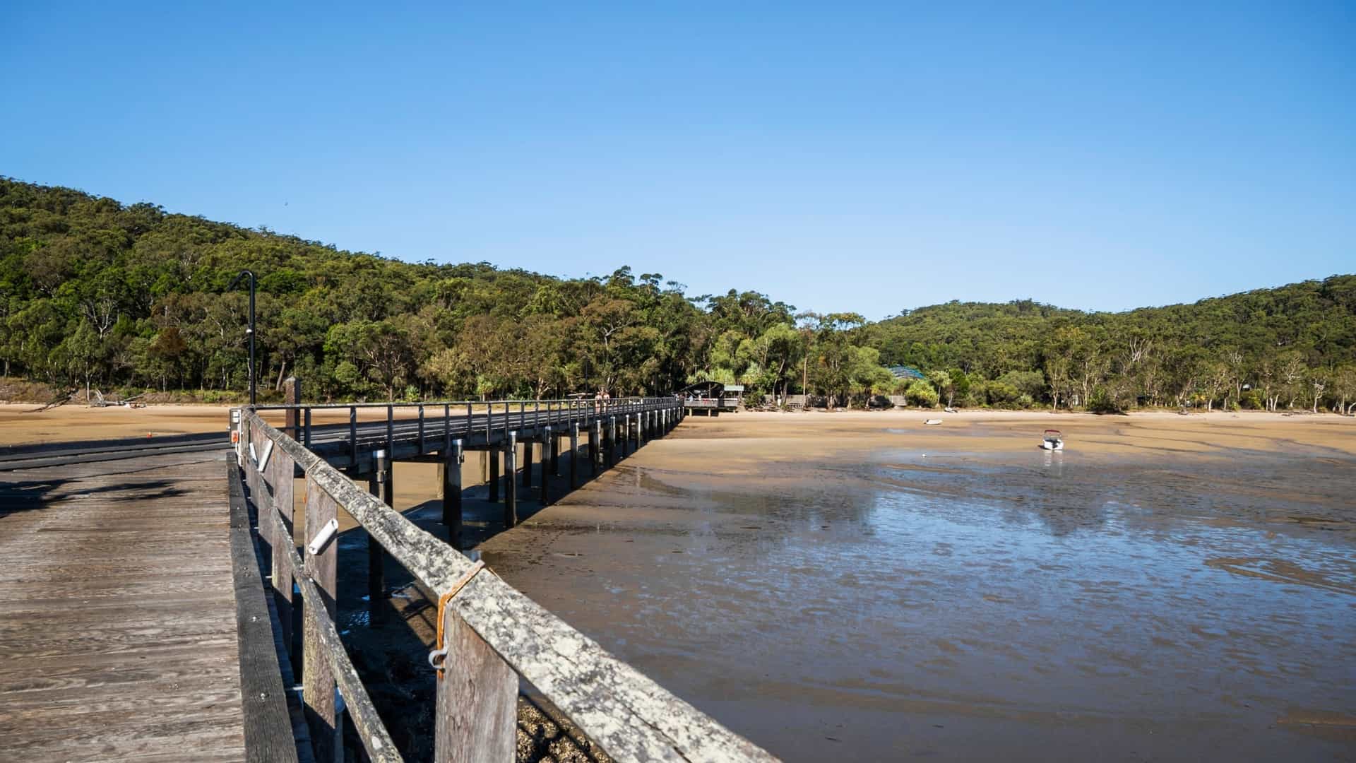 A long wooden pier stretches across a wide, muddy tidal flat toward a lush green forest under a clear blue sky.