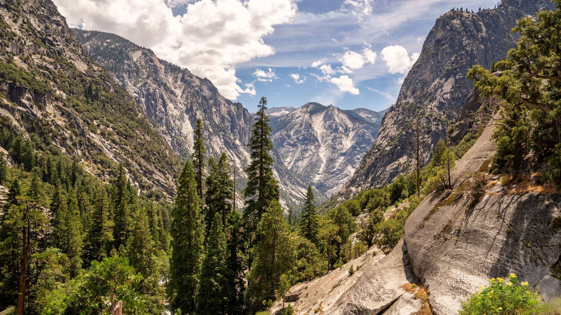 Towering, rocky canyon walls surround a valley of pine trees under a cloudy sky in Kings Canyon National Park, California.