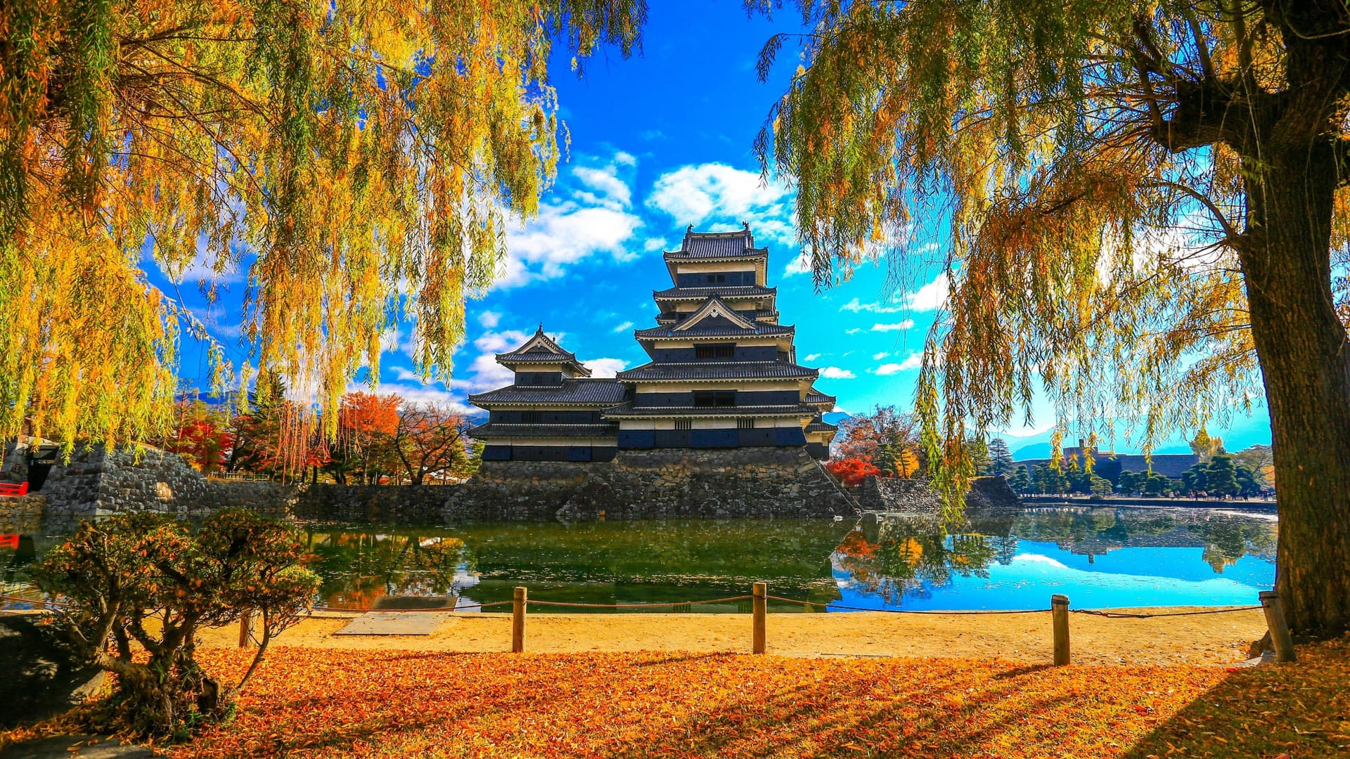 A vibrant autumn scene of Kumamoto Castle in Japan, with its black and white exterior reflected in the moat, framed by the bright yellow leaves of a willow tree.