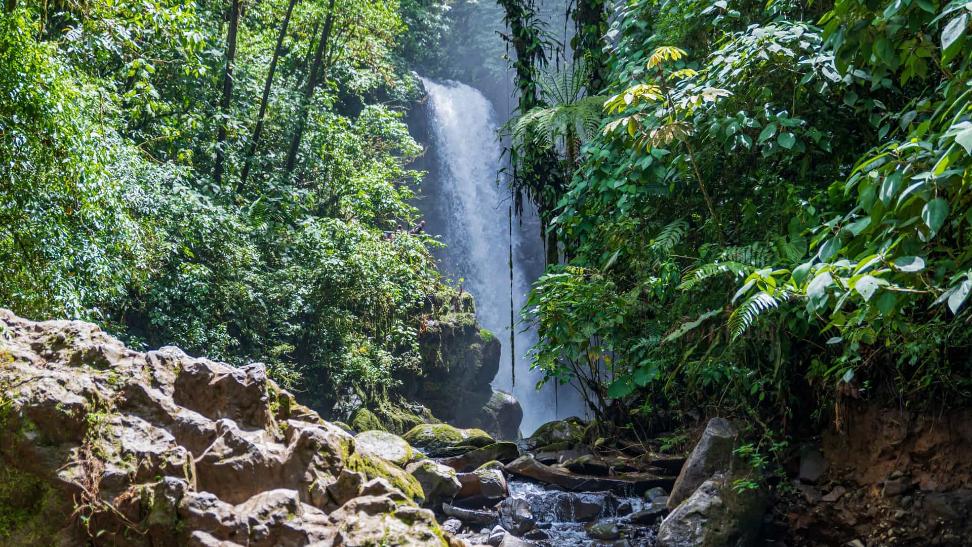 A powerful, white waterfall cascades down a high rock face into a pool, surrounded by dense, vibrant green tropical rainforest and foliage, with a rocky stream running through the foreground at La Paz Waterfall Gardens, Costa Rica.