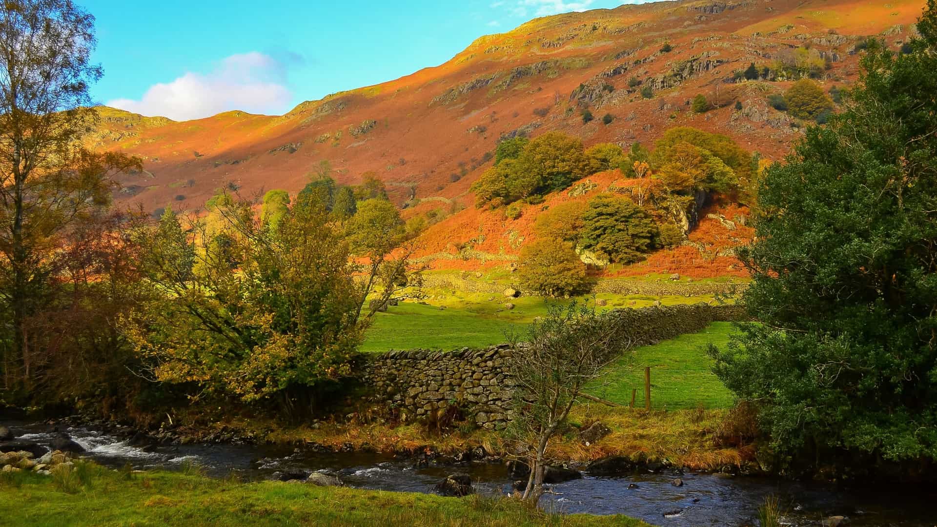 A vibrant autumn scene in the Lake District, UK, showing a rocky stream running through a foreground of green grass. A low, dry-stone wall separates the foreground from a lush green field, which backs onto a steep fellside covered in orange and brown ferns and bracken under a bright blue sky.