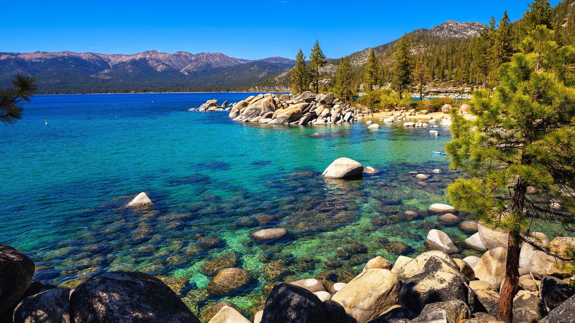 "A picturesque daytime shot of the crystal-clear turquoise water of Lake Tahoe in Nevada, showing large boulders and rocks scattered in the lake and along the shoreline with pine forests in the background. "