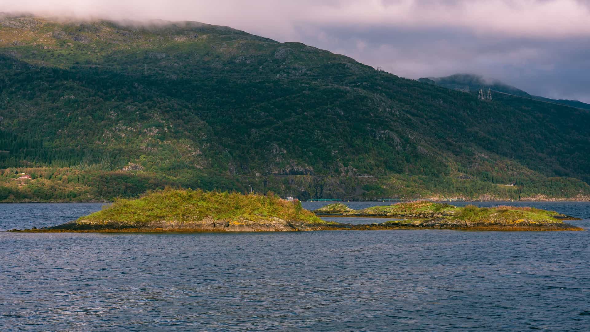 A view of a fjord with small, rocky islands covered in green vegetation, set against a backdrop of a large, forested mountain under a cloudy sky in Langenuen Strait, Norway.