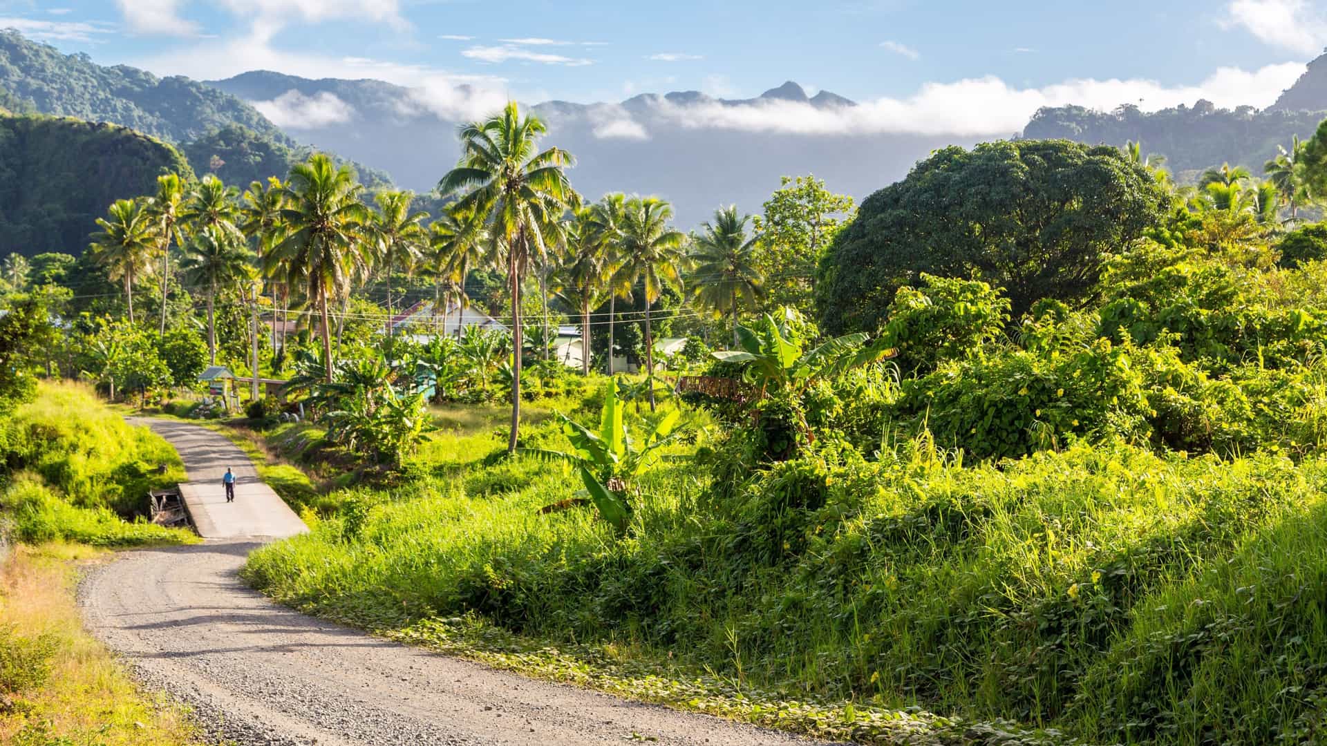A winding, dirt road passes through palm trees and lush tropical greenery near Levuka, Fiji, with misty mountains in the distance.