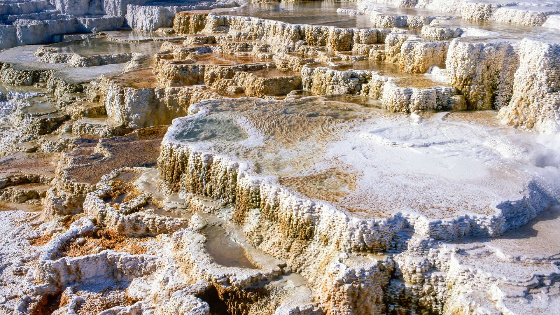 "A close-up view of the multi-level travertine terraces and hot springs at Mammoth Hot Springs in Yellowstone National Park, Wyoming. "