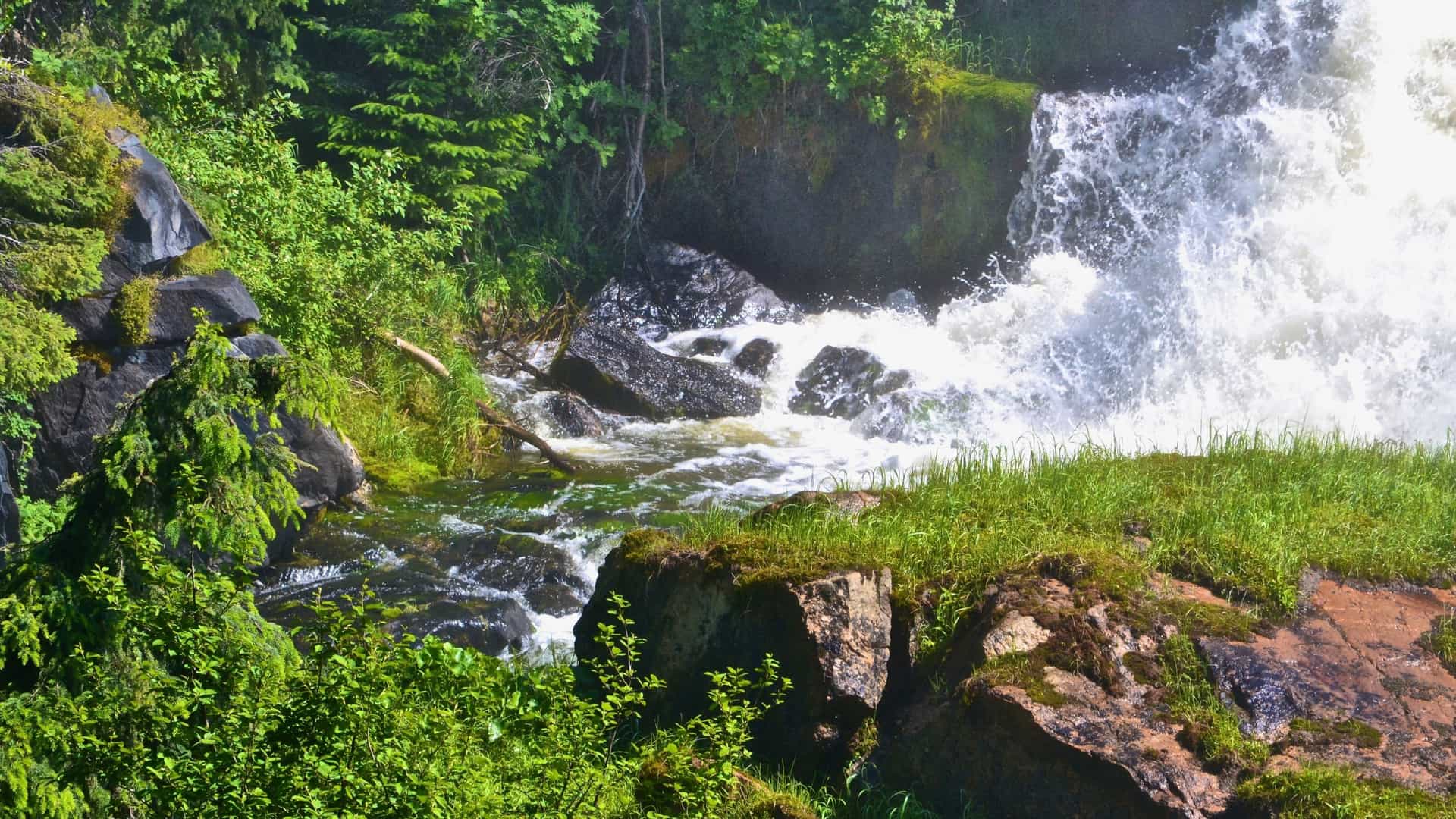 Water rushes over a rocky waterfall surrounded by lush, bright green moss and foliage in Manitoba, Canada.