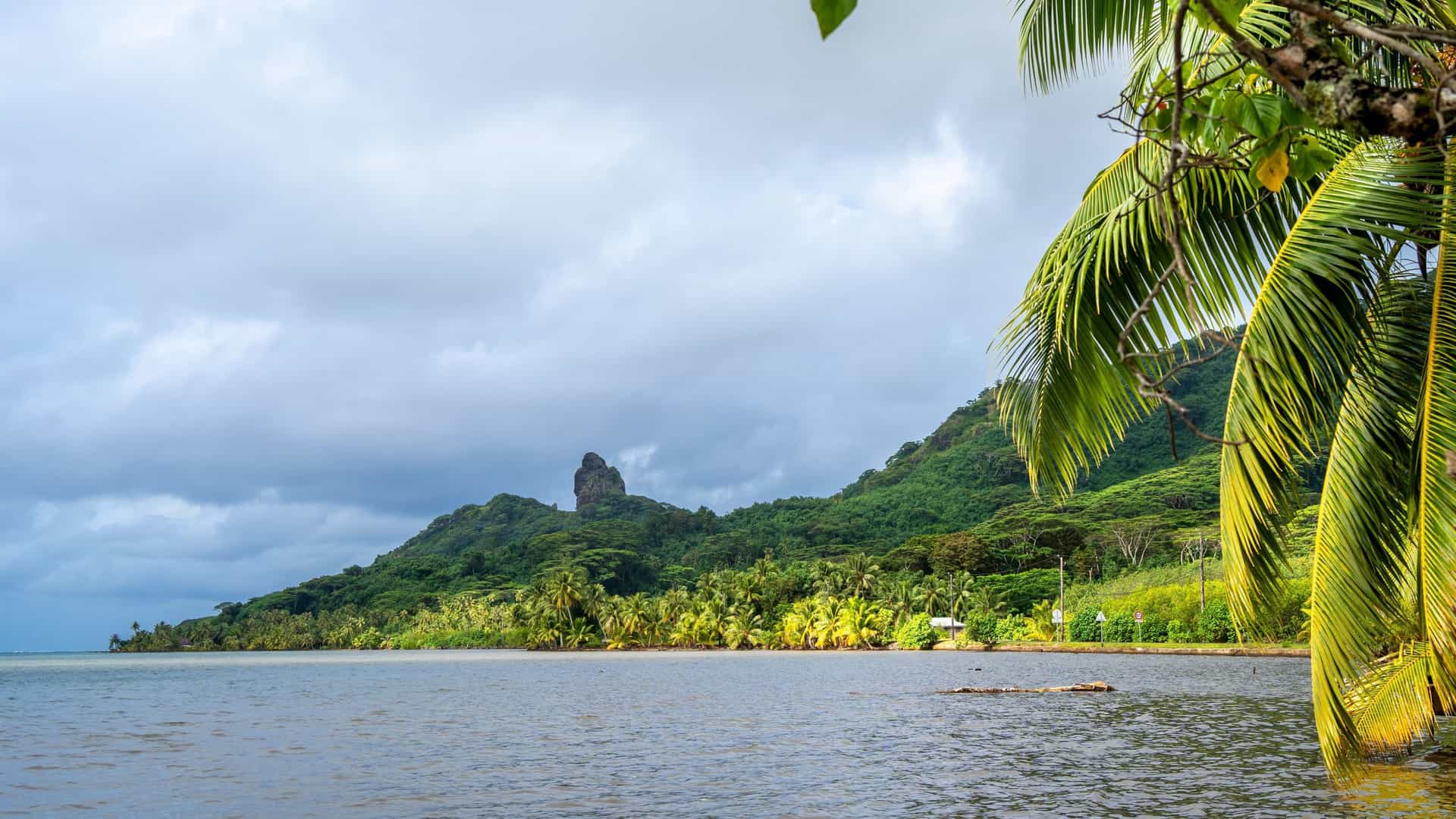 A serene tropical beach with palm trees and lush green hills, with a distinctive rock formation in the distance, a common sight near Marmaris, Turkey.