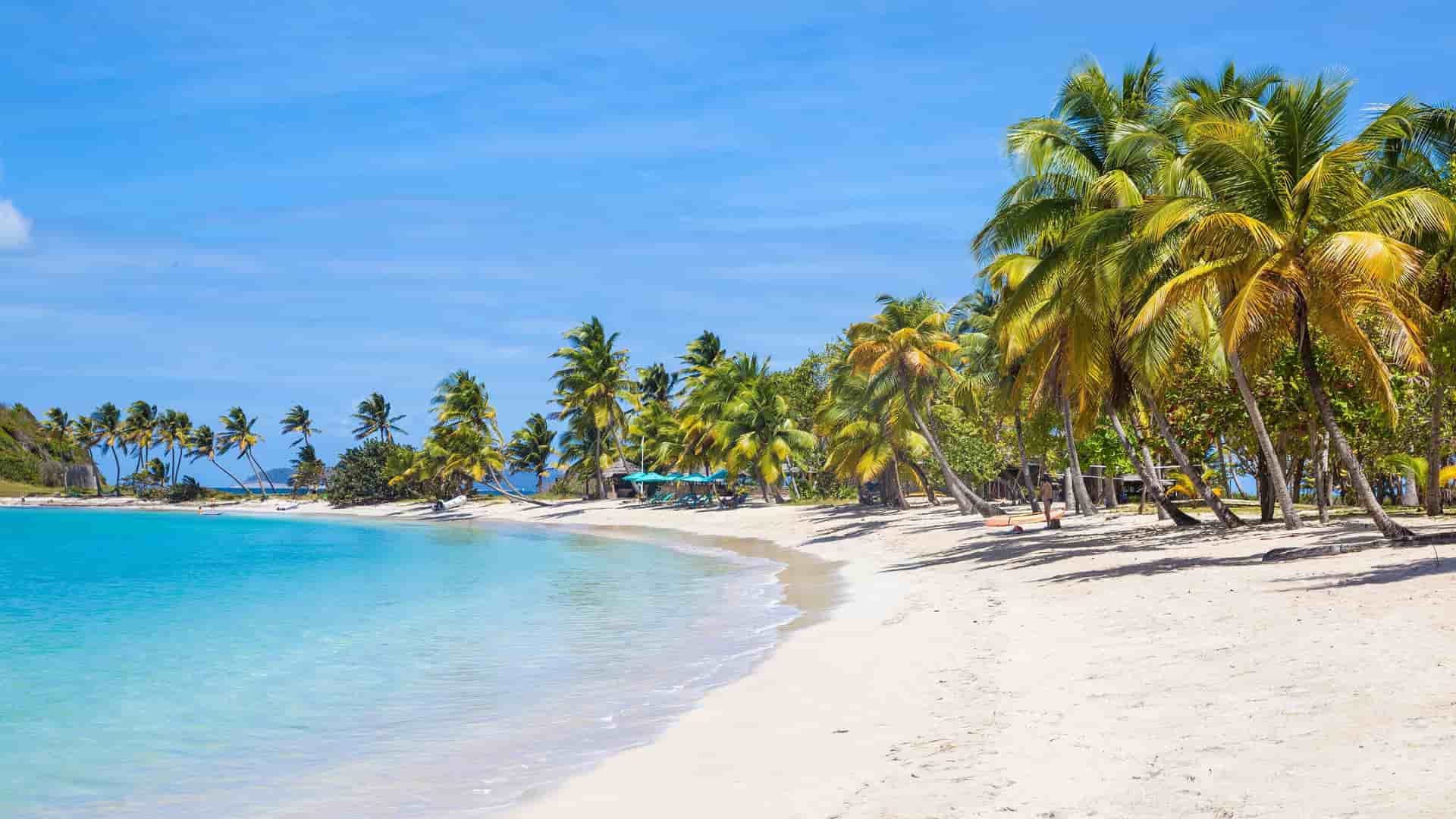 A breathtaking tropical beach on Mayreau Island, Grenadines, with white sand, tall palm trees, and turquoise water under a perfectly blue sky.