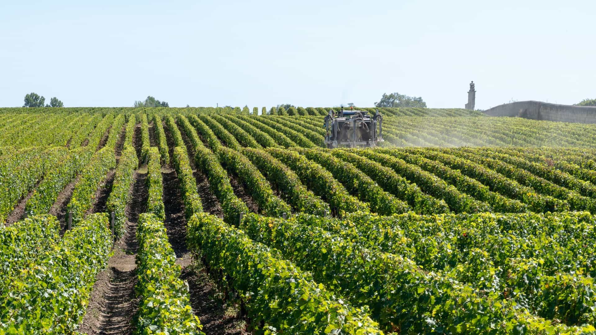 A picturesque view of endless rows of green vines in the Medoc and Margaux wine country of France, with a tractor working in the distance.