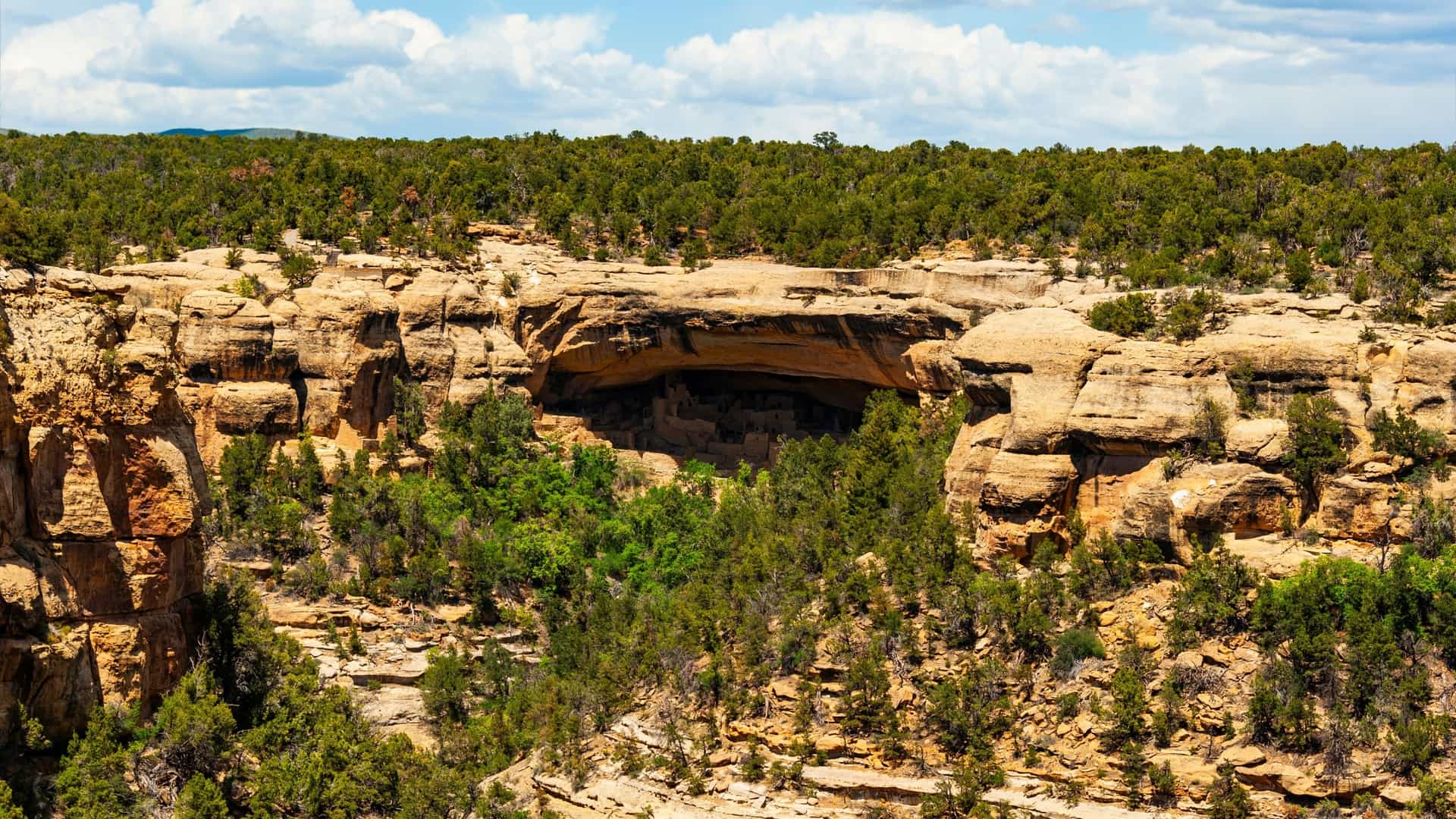 The ancient stone cliff dwellings of the Ancestral Puebloans are visible within a large rock overhang in Mesa Verde National Park, USA.