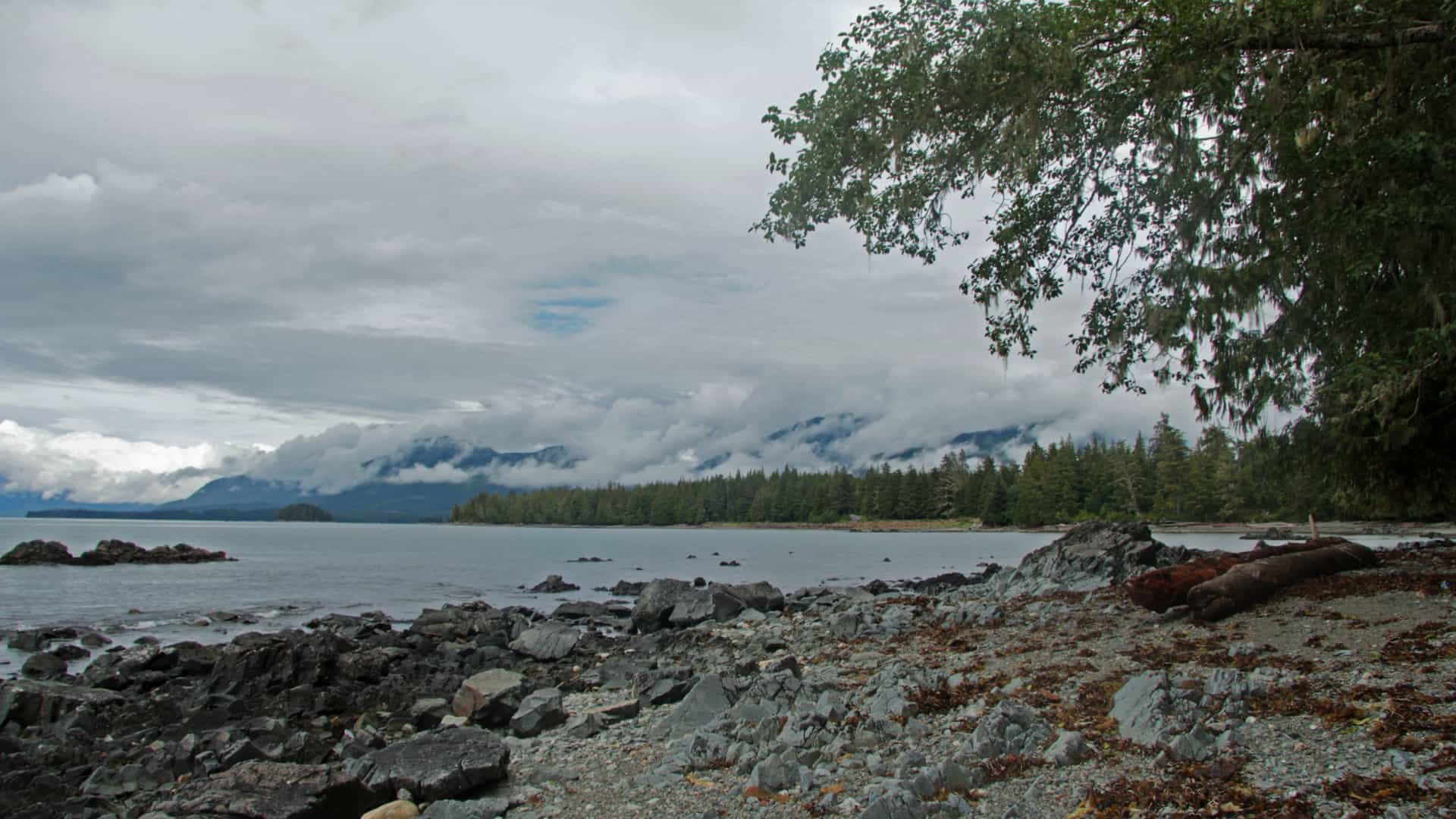 A dark, rocky beach and water on a cloudy day, backed by a coniferous forest and mountains in Metlakatla, Alaska.