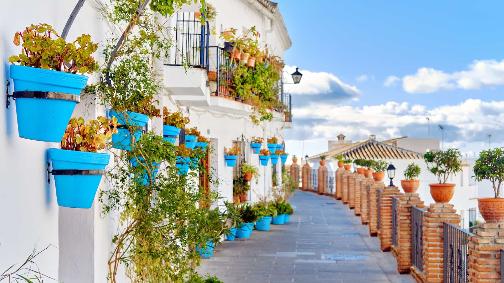 "A classic view of a whitewashed street in Mijas, Costa del Sol, Spain, adorned with vibrant blue pots filled with red geraniums and a long row of terracotta pots. "