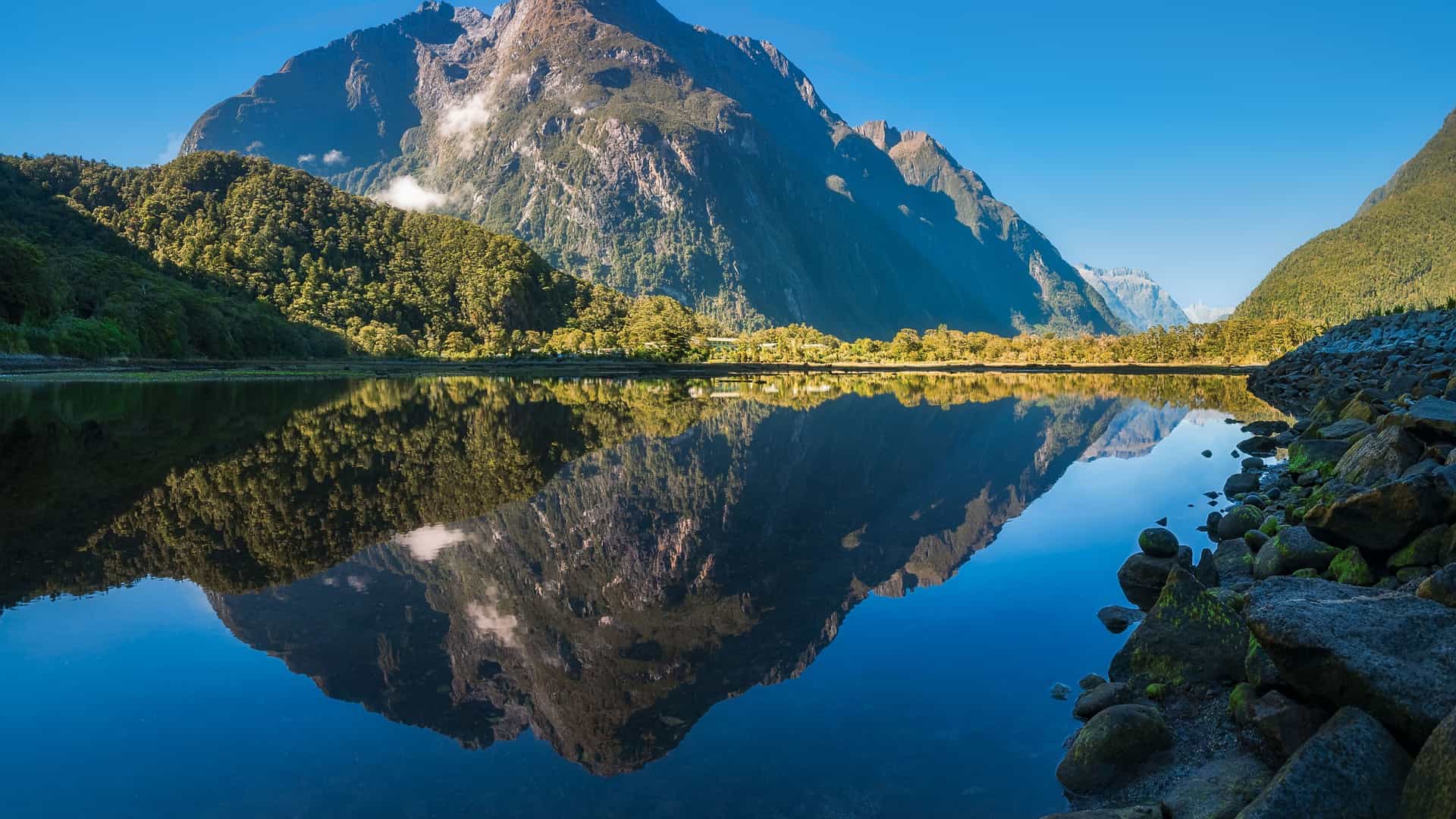 A breathtaking landscape shot of Milford Sound, New Zealand, with a towering, tree-covered mountain reflected perfectly on the calm, mirror-like surface of the water on a clear day.