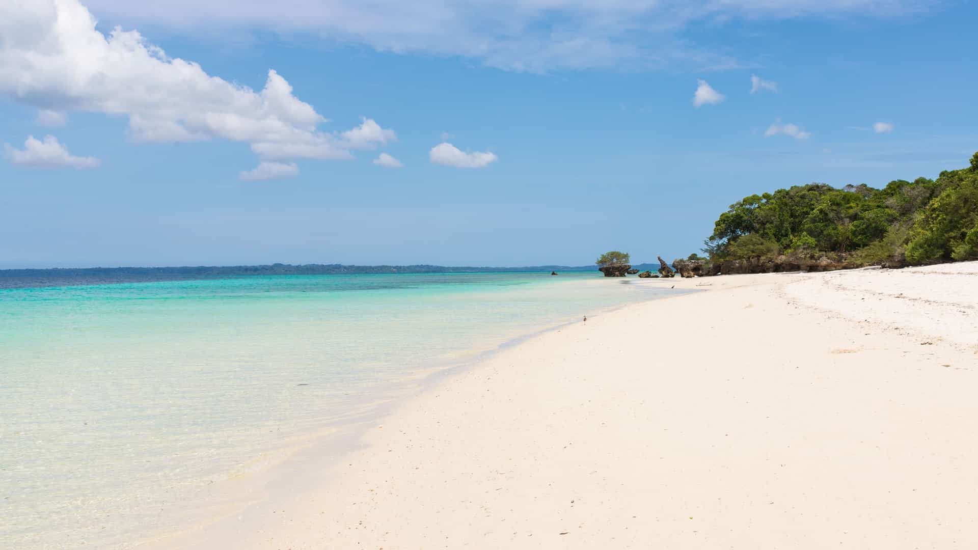 A beautiful, secluded white sand beach on Misali Island, Tanzania, with crystal-clear turquoise water and a lush green forest meeting the coastline under a clear blue sky.