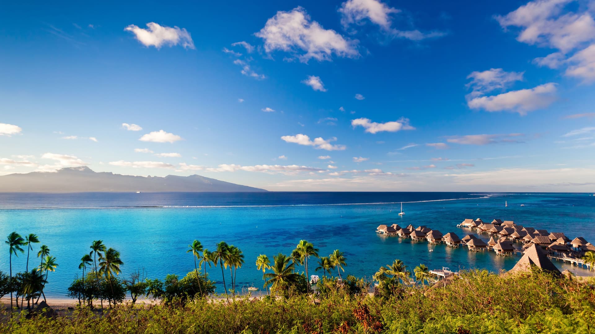 A scenic view of Moorea, French Polynesia, with turquoise lagoons, a row of luxurious overwater bungalows, lush palm trees along the coast, and a distant island under a stunning blue sky.