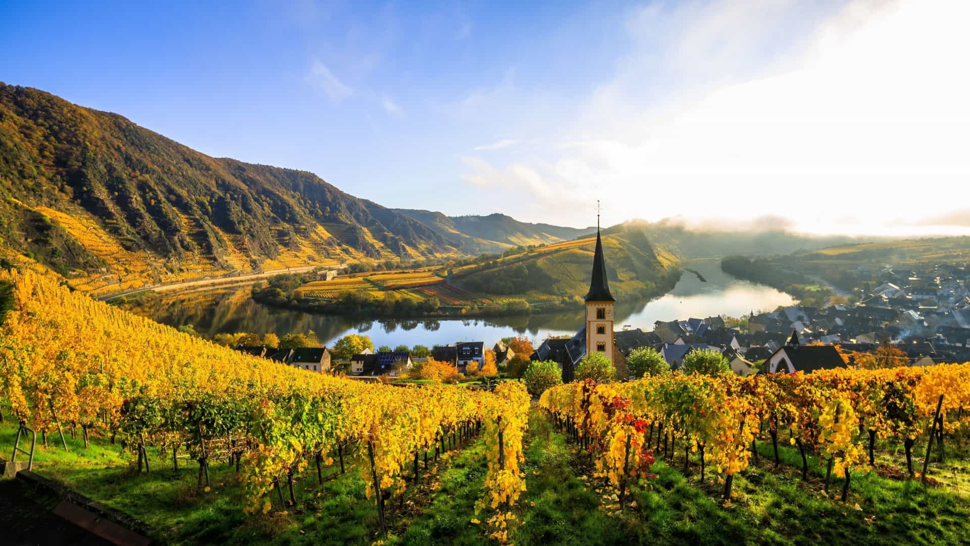 A picturesque landscape view of the Moselle River Valley in Germany, with rows of golden autumn vineyards on the terraced hillsides and a charming village with a church spire nestled by the water.