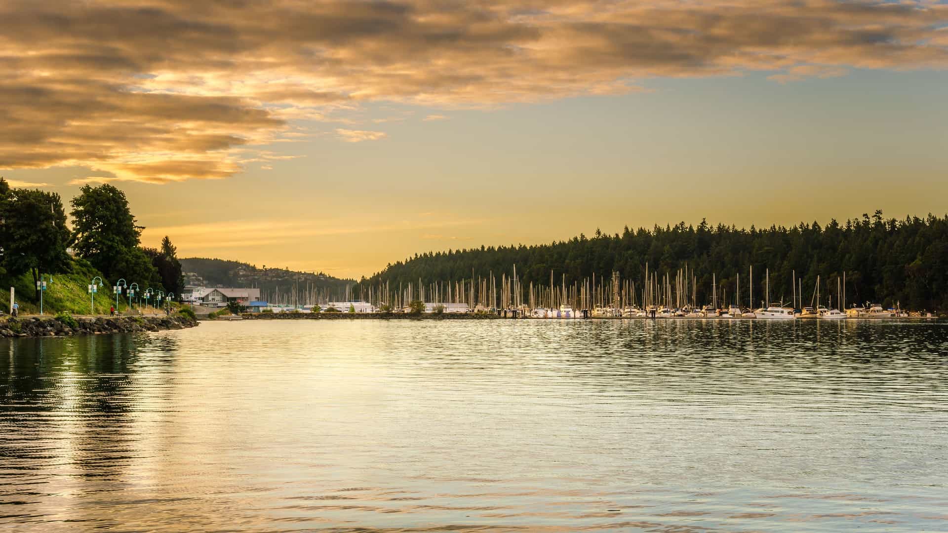 A peaceful sunset over the Nanaimo Harbor in British Columbia, with a marina full of sailboats and a lush green forest on the opposite shore.