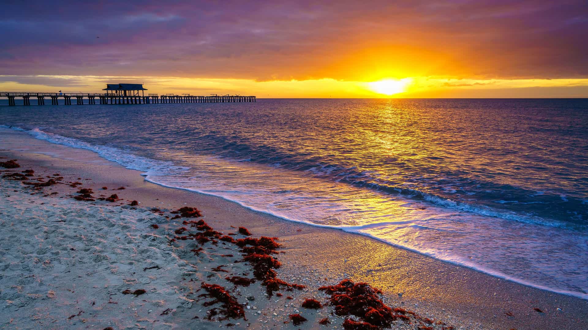 "A breathtaking sunset over the Gulf of Mexico in Naples, Florida, with the Naples Pier silhouetted against a golden and purple sky and waves crashing on the sandy beach. "