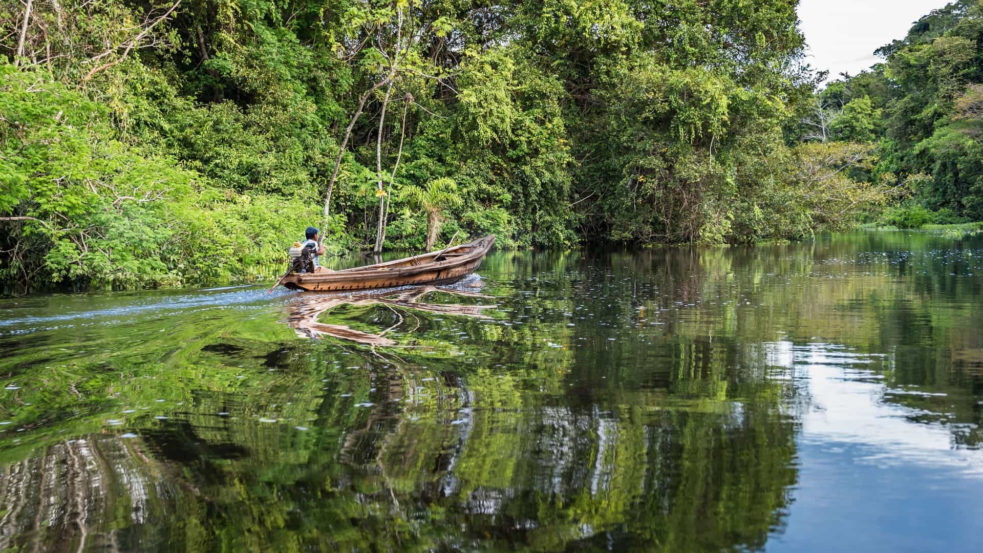 Alone person paddling a small canoe down a winding river in the Amazon rainforest near Nauta, surrounded by dense, lush jungle foliage.