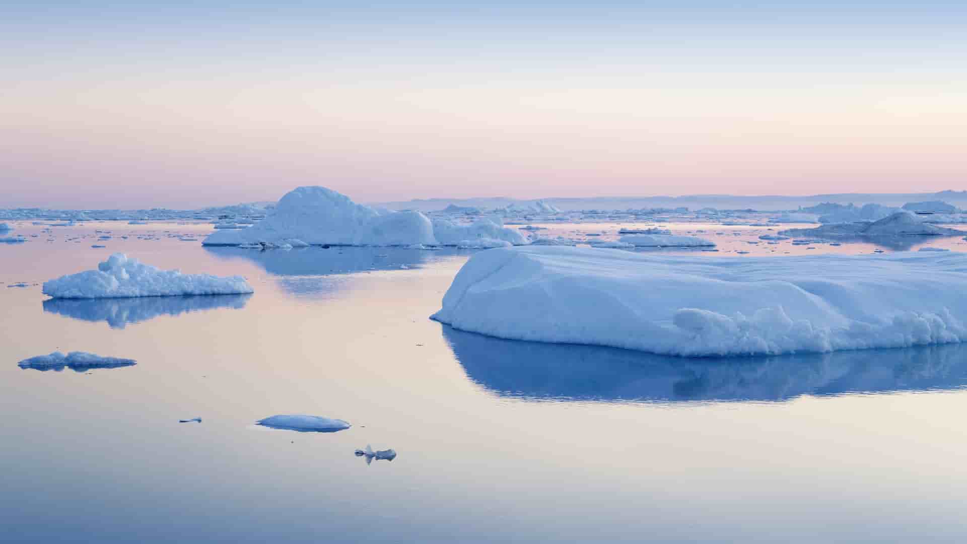 A calm sea filled with large, floating icebergs and ice floes at sunrise, a common sight near the Arctic village of Paamiut, Greenland.