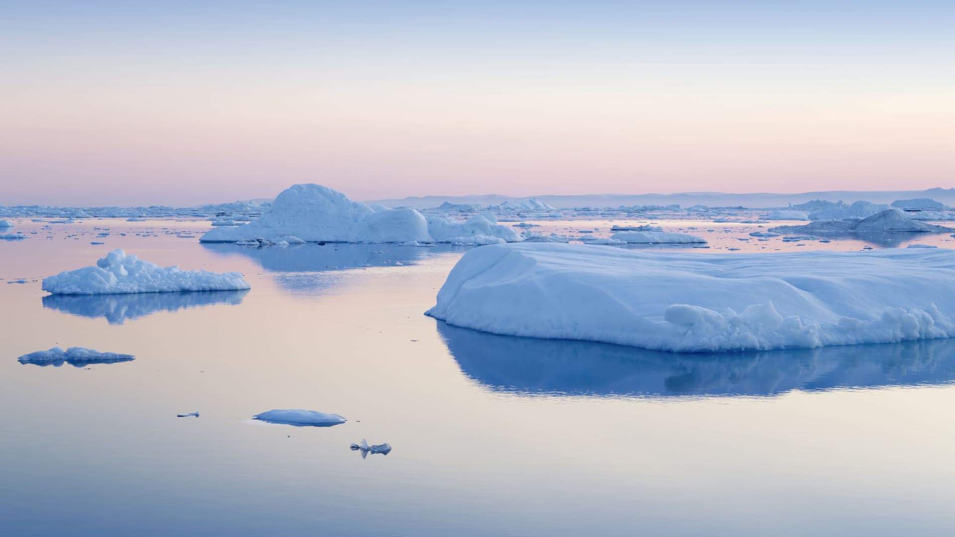 A calm sea filled with large, floating icebergs and ice floes at sunrise, a common sight near the Arctic village of Paamiut, Greenland.