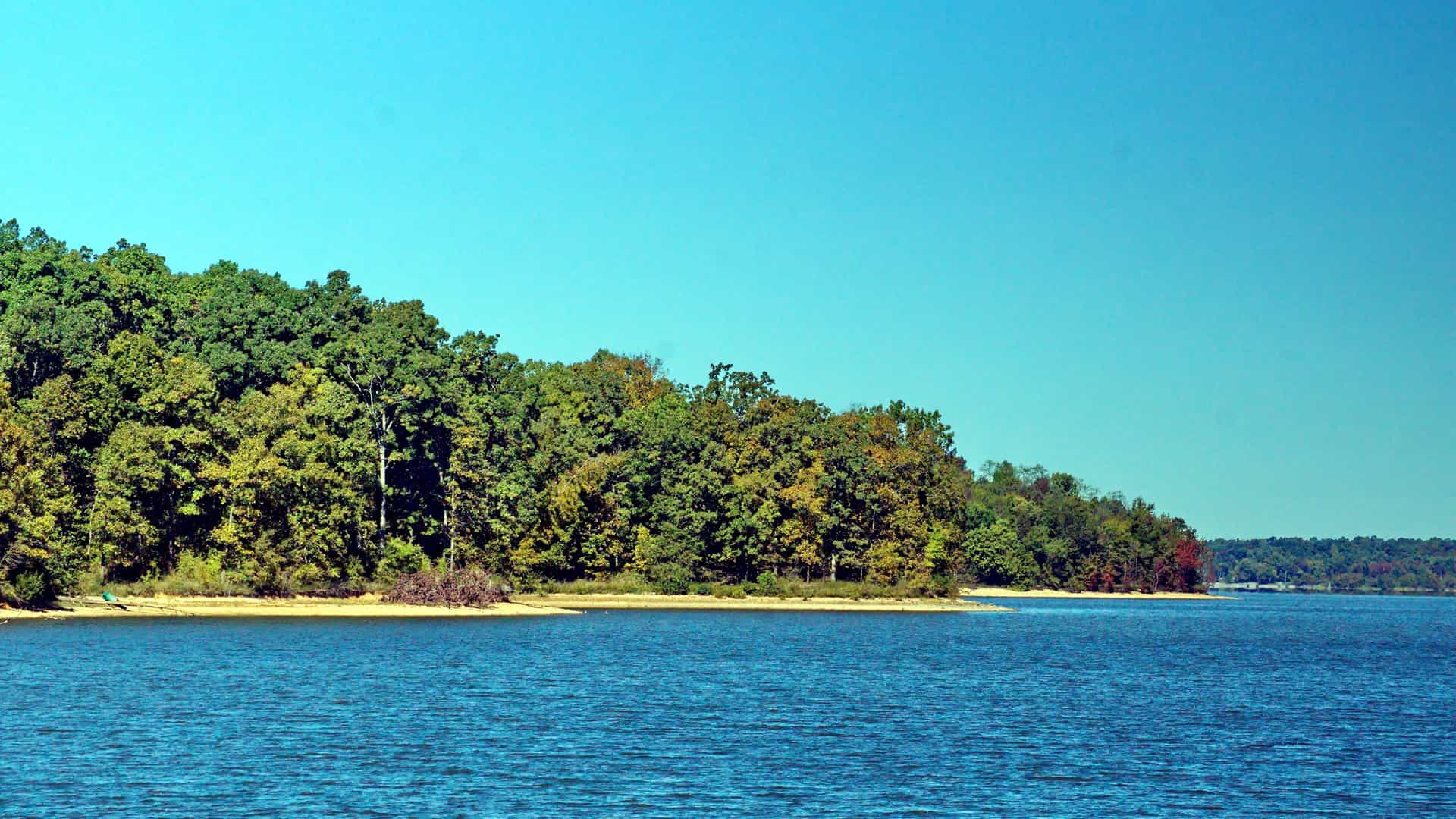 A clear shot of Kentucky Lake, a recreational tourist area in Paducah, Kentucky, with a lush forest on the far bank.