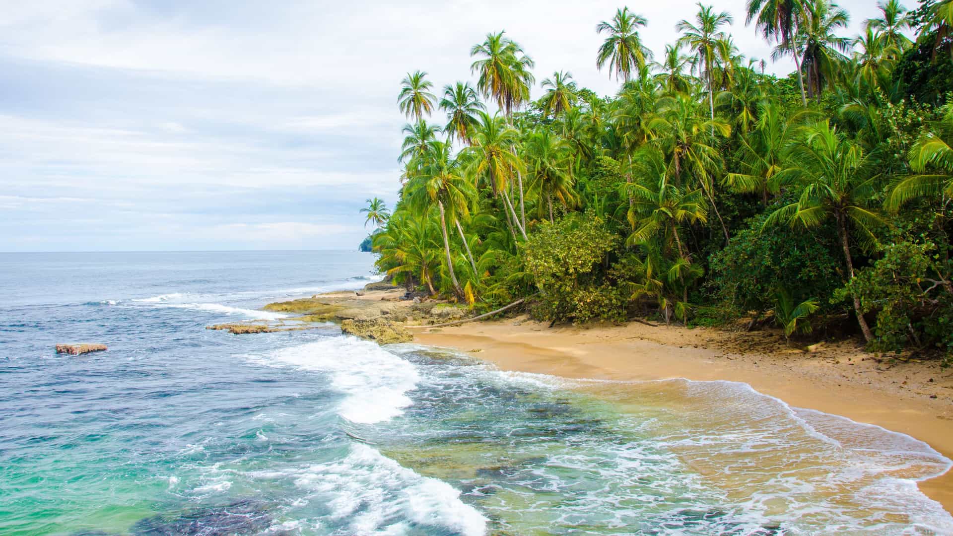 A scenic view of Playa del Coco in Costa Rica, showcasing a beautiful sandy beach fringed with lush, tall palm trees and gentle waves of the blue Pacific Ocean lapping the shore.