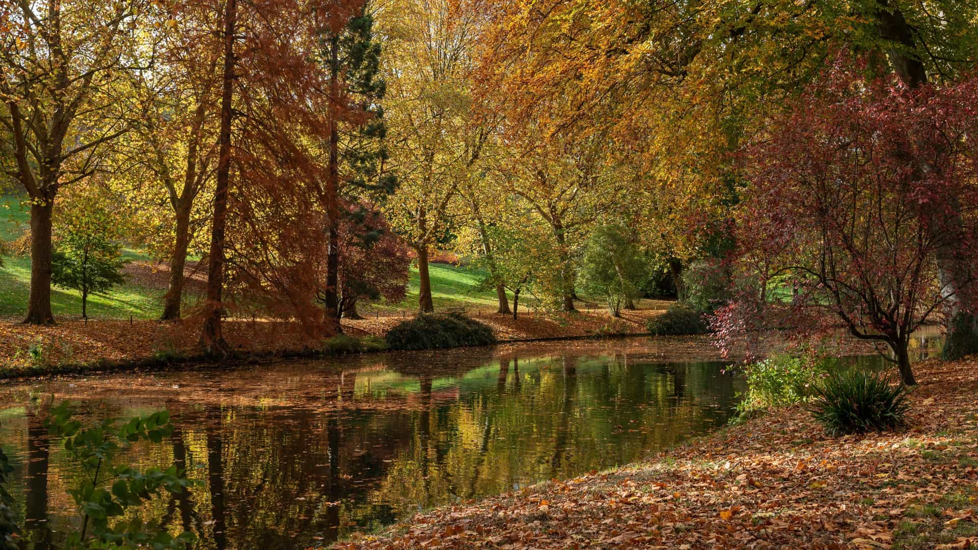 A calm pond in a Poissy park, surrounded by trees with brilliant autumn foliage in shades of orange, yellow, and red.