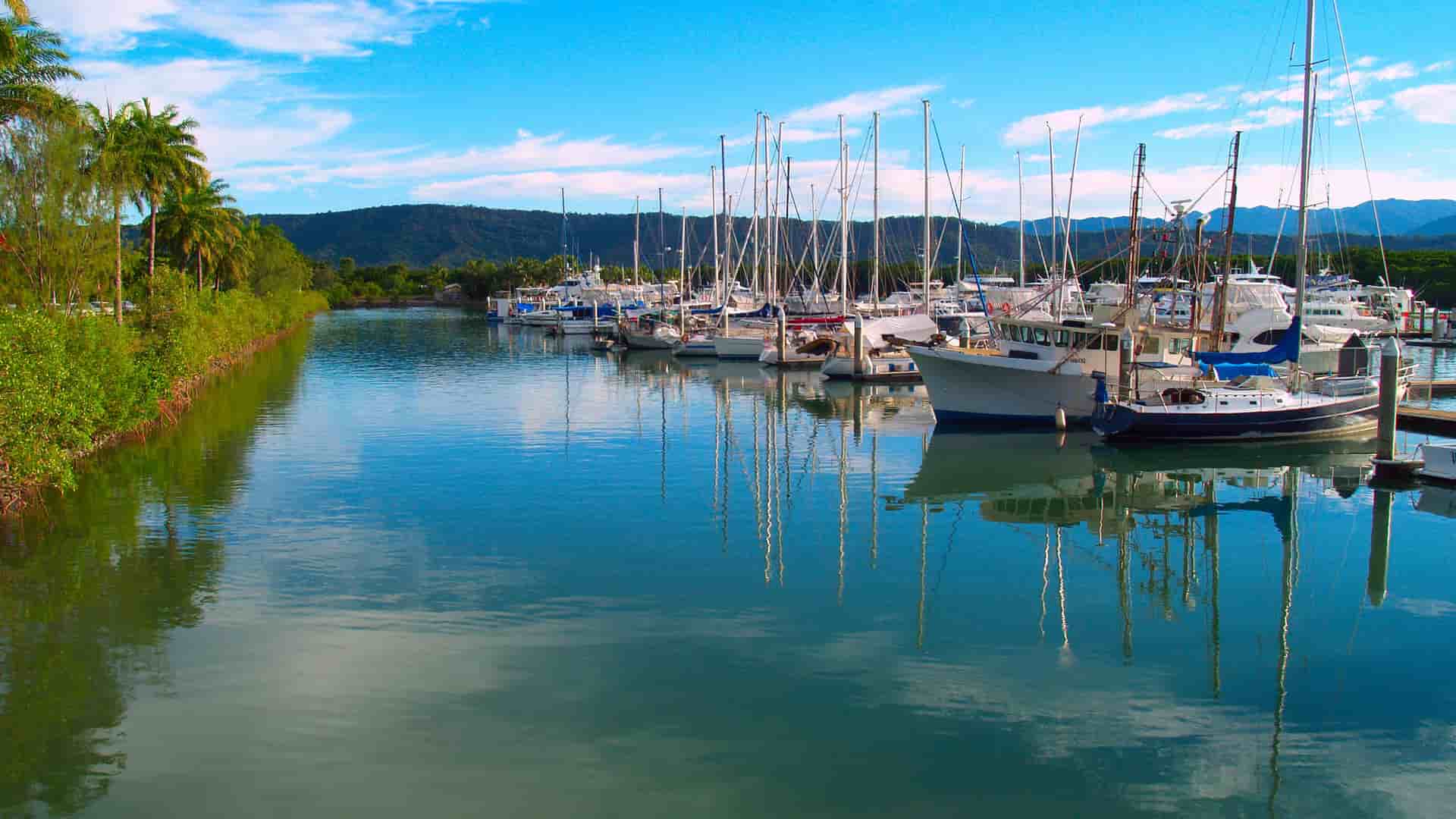 A tranquil marina in Port Douglas, Australia, filled with sailboats and yachts reflected in the calm water, with a lush green shoreline and mountains in the background.