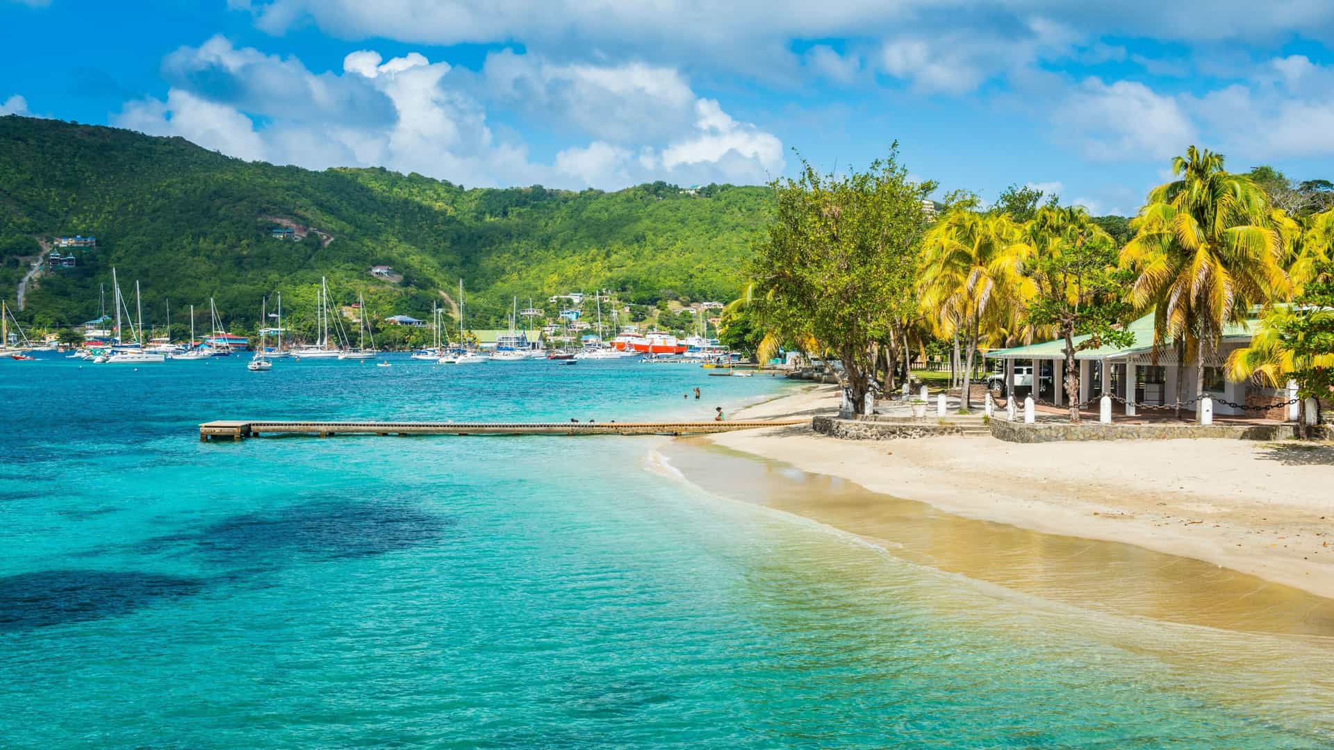A stunning view of Port Elizabeth in Bequia, St. Vincent and the Grenadines, with a sandy beach lined with palm trees and a building on the shore, and numerous sailboats anchored in the calm turquoise bay.