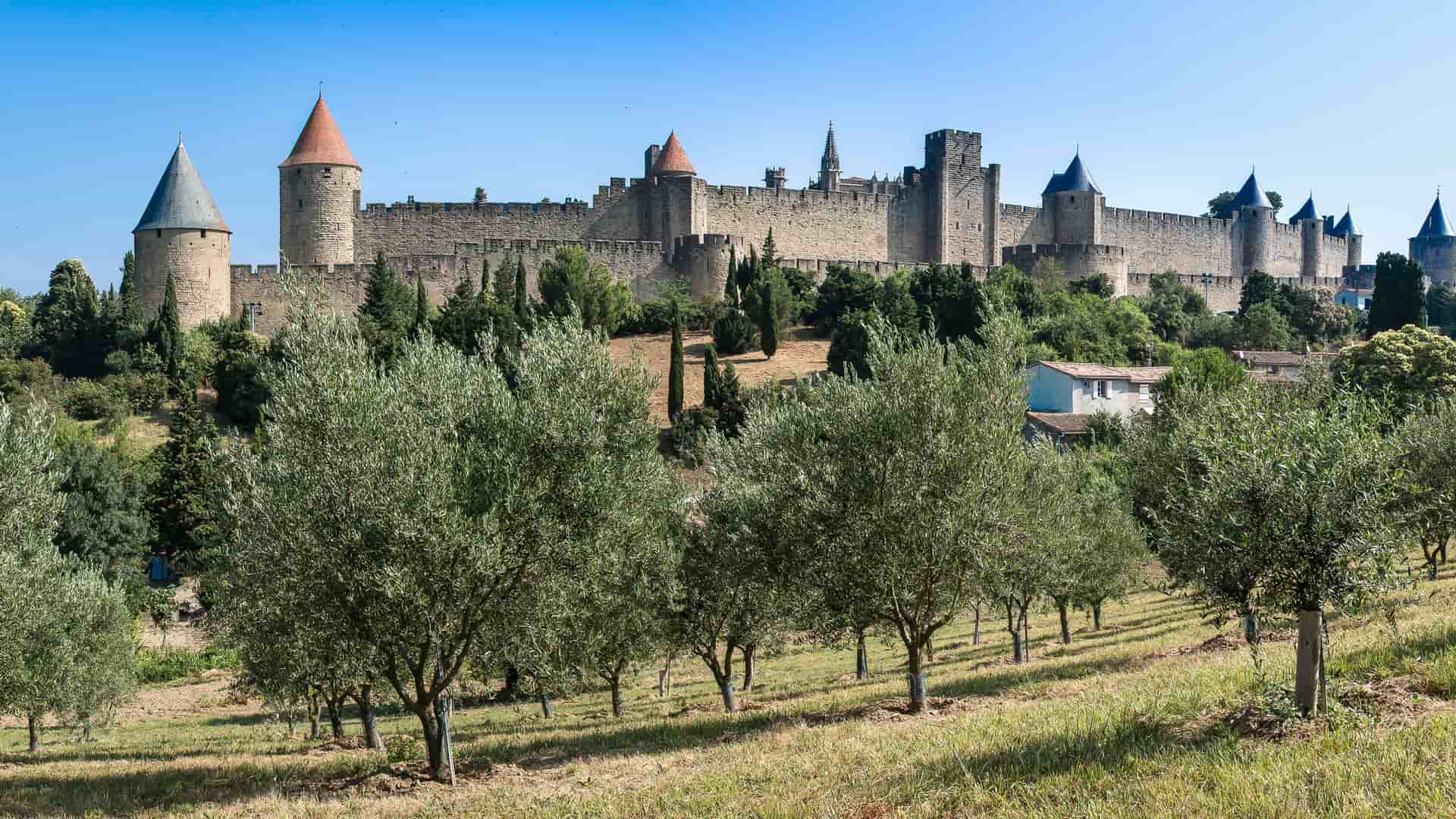 A scenic view of the medieval citadel of Carcassonne in France, with its imposing stone walls and pointed towers, seen from a hillside with a vineyard of olive trees in the foreground.
