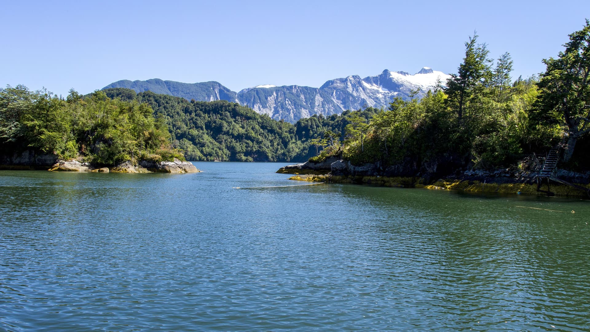A stunning view of the Patagonian fjords near Puerto Chacabuco, Chile, featuring calm blue water, lush green forested hills, and snow-capped mountains in the distance.