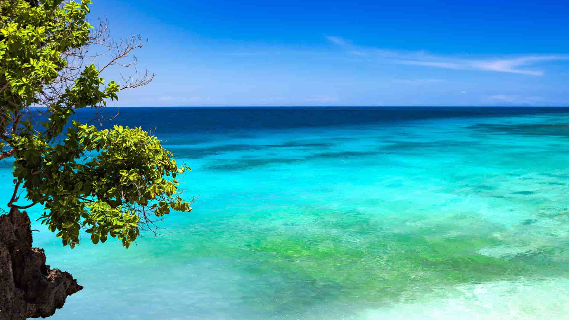 A vibrant wide shot of the crystal-clear turquoise waters of Honda Bay in Puerto Princesa, Palawan, Philippines, with a tree branch from a nearby cliff overhanging the stunning ocean.