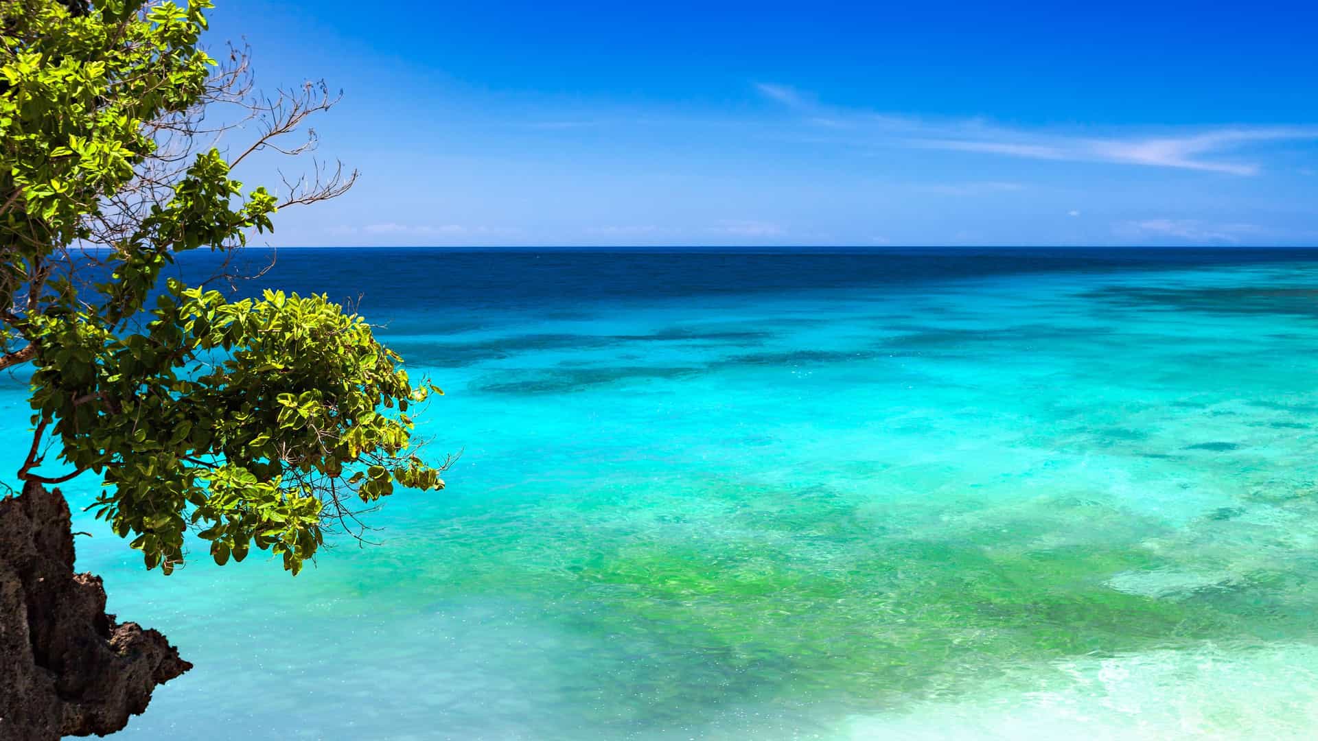 A vibrant wide shot of the crystal-clear turquoise waters of Honda Bay in Puerto Princesa, Palawan, Philippines, with a tree branch from a nearby cliff overhanging the stunning ocean.