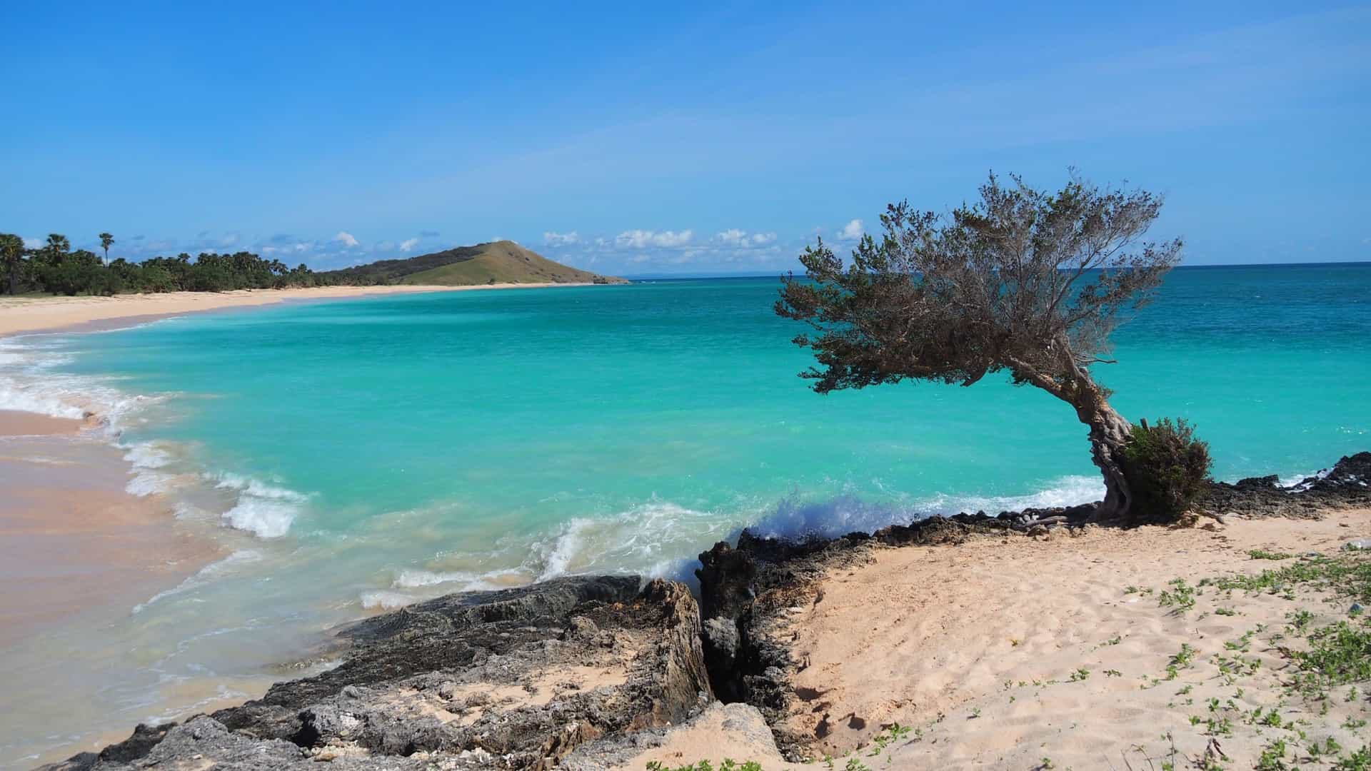 A breathtaking shot of the pristine, calm beach of Pulau Semau, Indonesia, with vibrant turquoise water, a gnarled tree on the rocky shore, and a lush green hill in the distance.