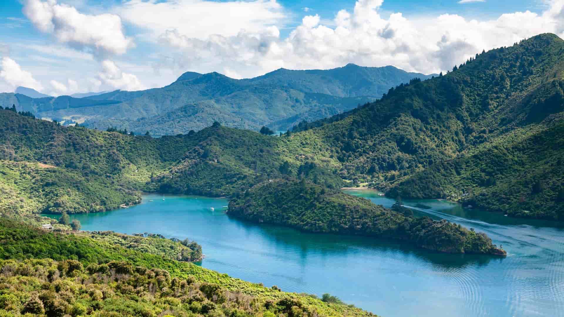 A beautiful panoramic view of the tranquil Queen Charlotte Sound in New Zealand, with lush green hills sloping down to a calm turquoise bay dotted with small islands.