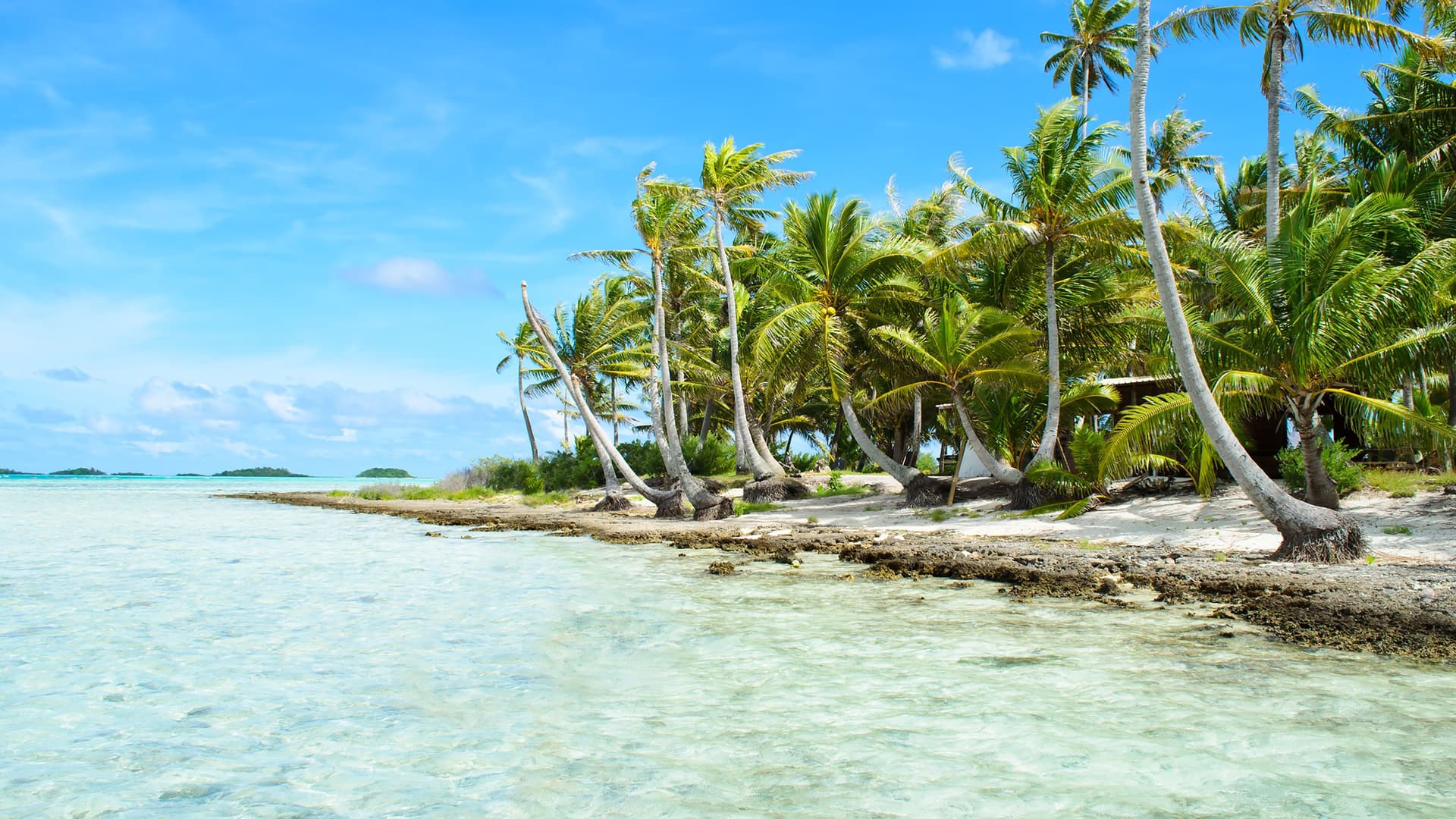 A scenic view of a pristine beach on Rangiroa, French Polynesia, with palm trees leaning over the white sand and crystal-clear turquoise water of the lagoon.