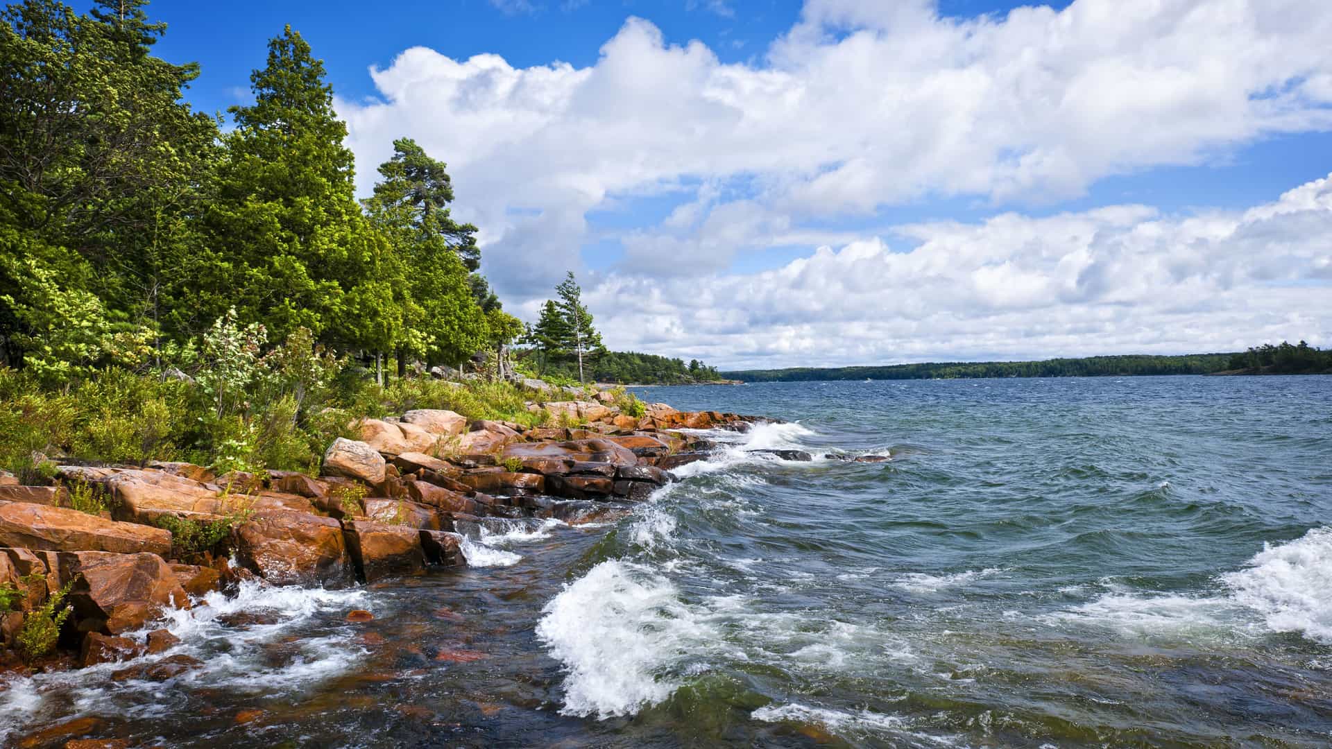 A view of a rugged, rocky shoreline with waves crashing against it, surrounded by lush green pine trees in Red Bay, Canada.