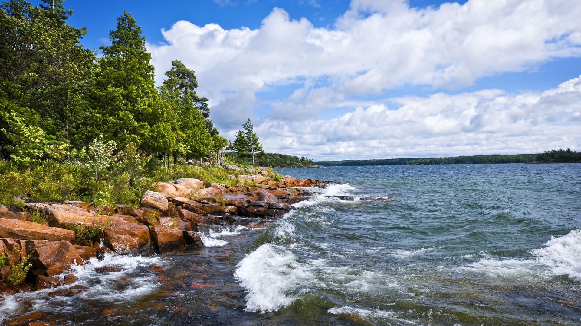 A view of a rugged, rocky shoreline with waves crashing against it, surrounded by lush green pine trees in Red Bay, Canada.