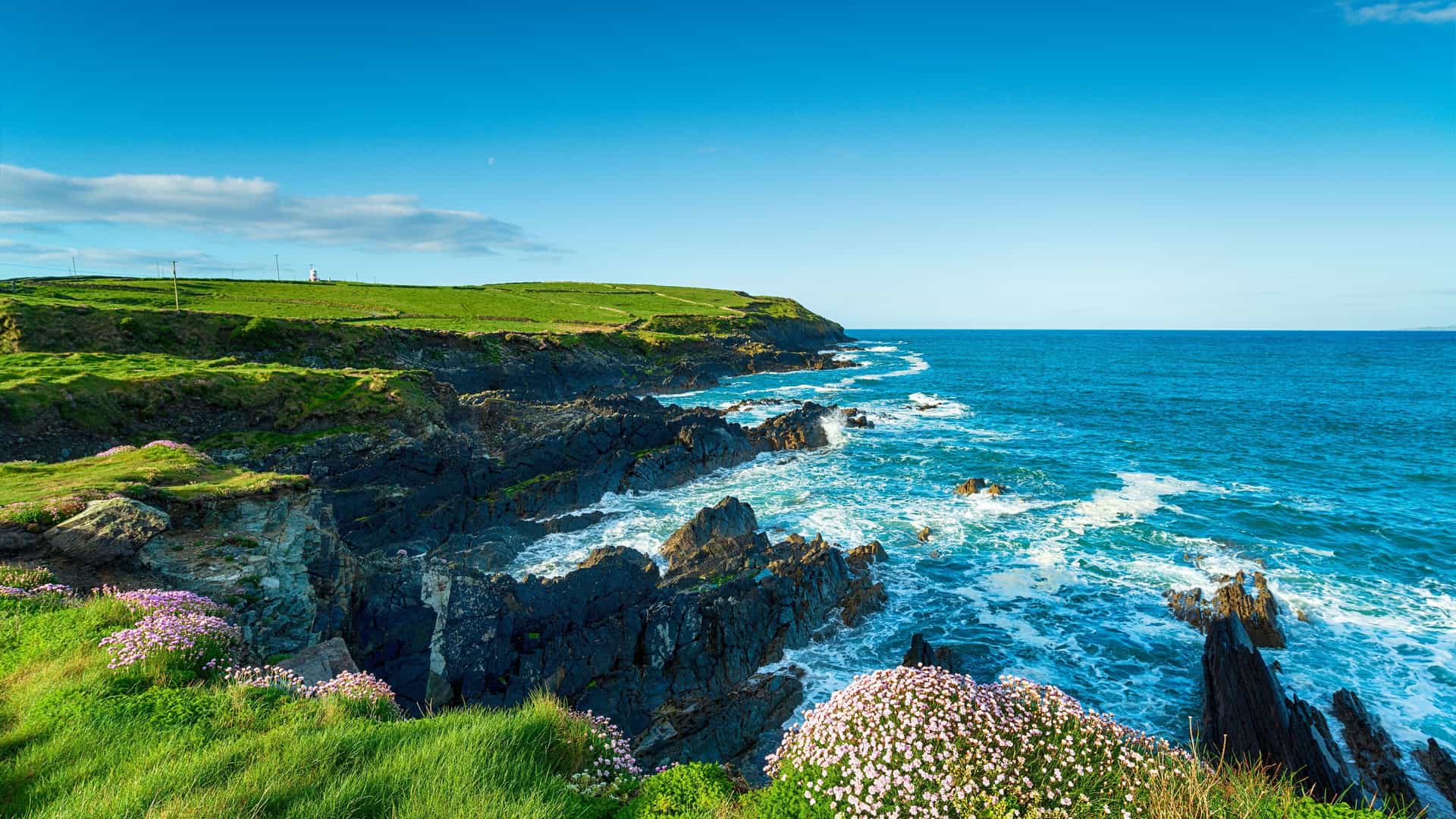 "A beautiful view of the rugged coastline of County Cork, Ireland, with lush green cliffs, pink wildflowers, and waves crashing against the rocks near Rosscarbery. "