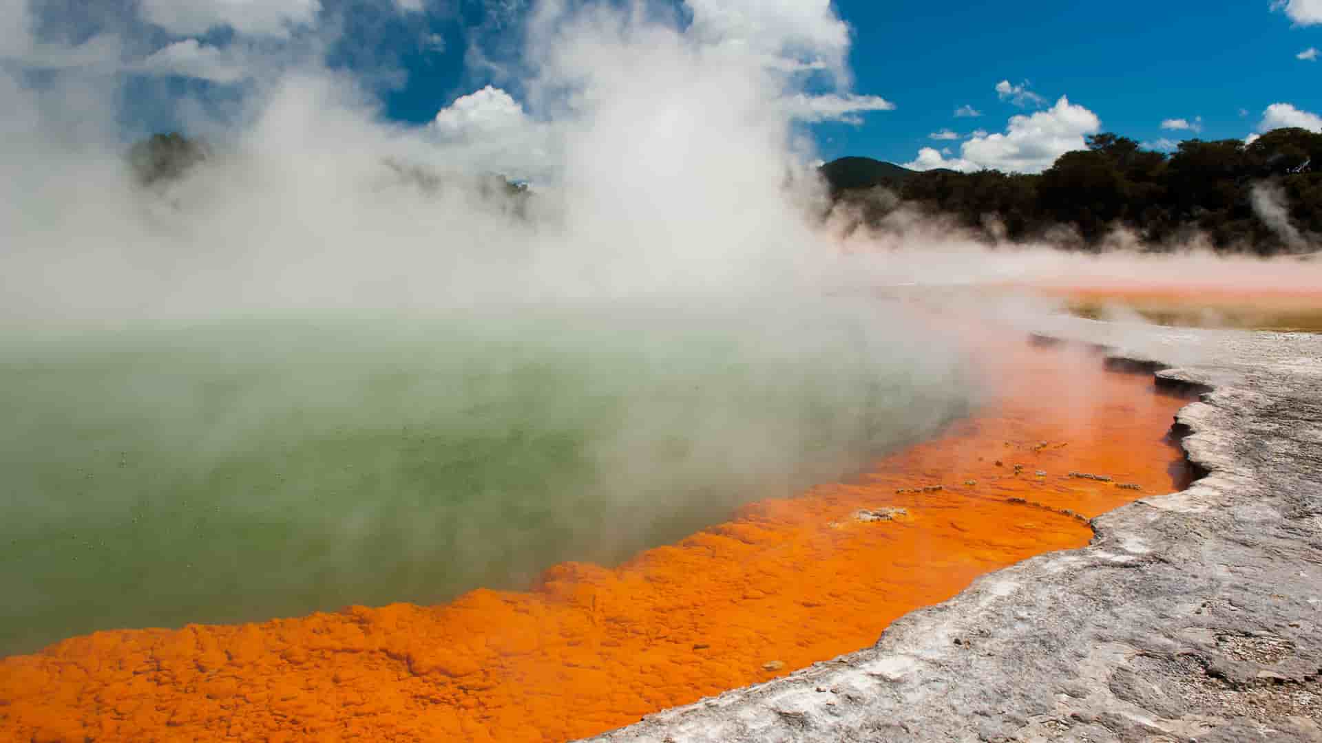 A steaming, vibrant green hot spring in the Waiotapu Thermal Wonderland of Rotorua, New Zealand, with an orange mineral-colored edge and lush green forest in the background.