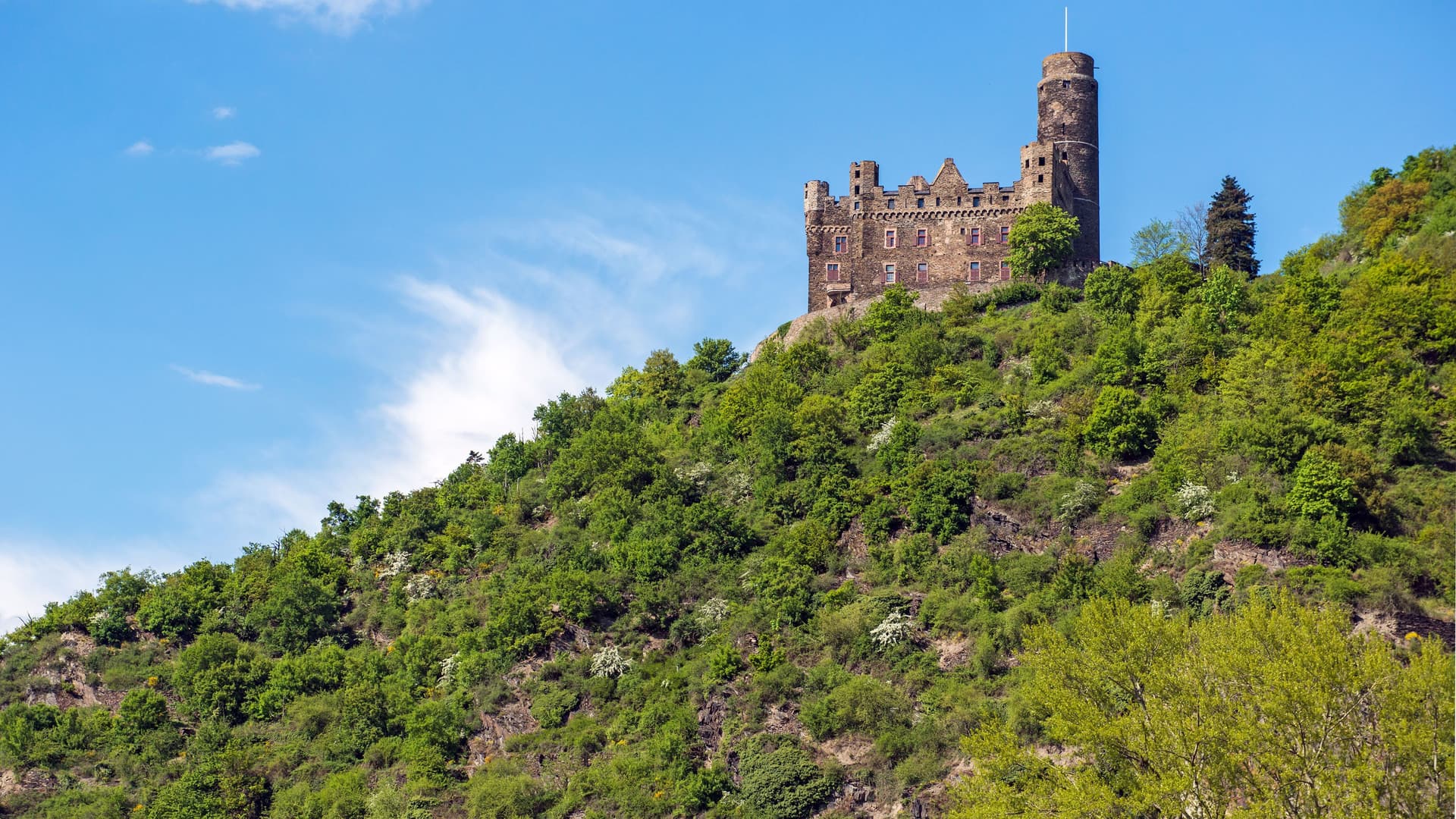 A stunning view of Ehrenfels Castle, a medieval ruin with a tower, perched on a steep, tree-covered hillside in Rüdesheim, Germany, against a bright blue, cloudy sky.