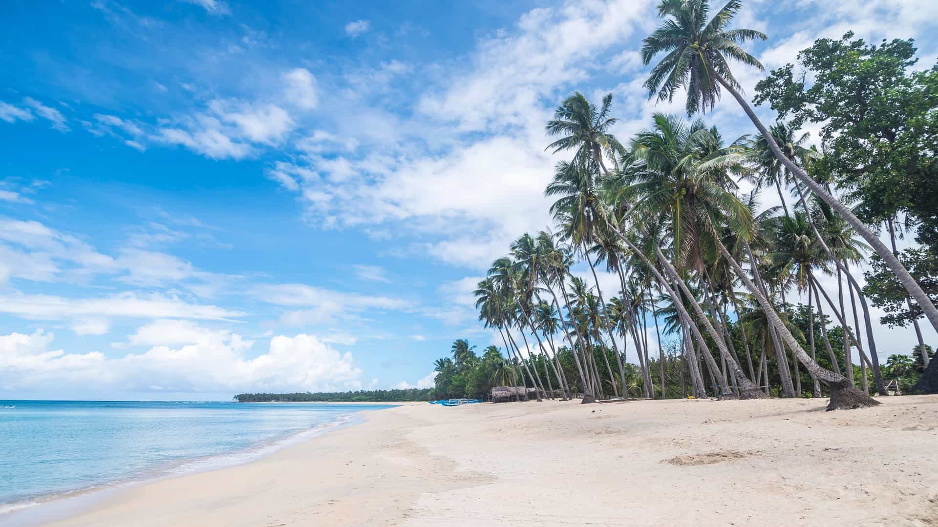 A pristine white sand beach lined with tall, leaning coconut palm trees under a bright blue sky with scattered white clouds.