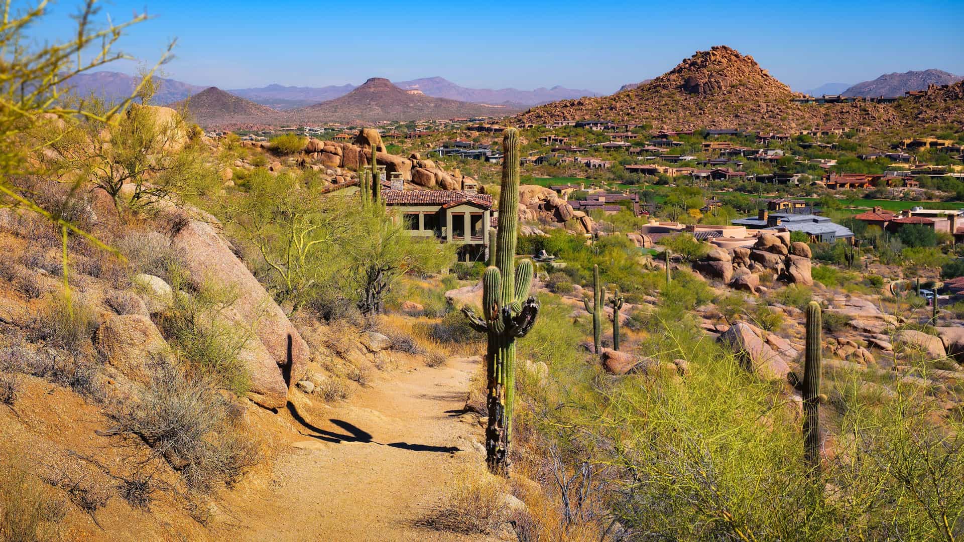 "A panoramic view of the Sonoran Desert landscape in Scottsdale, Arizona, with a hiking trail in the foreground, saguaro cacti, and luxury homes nestled in the hills. "