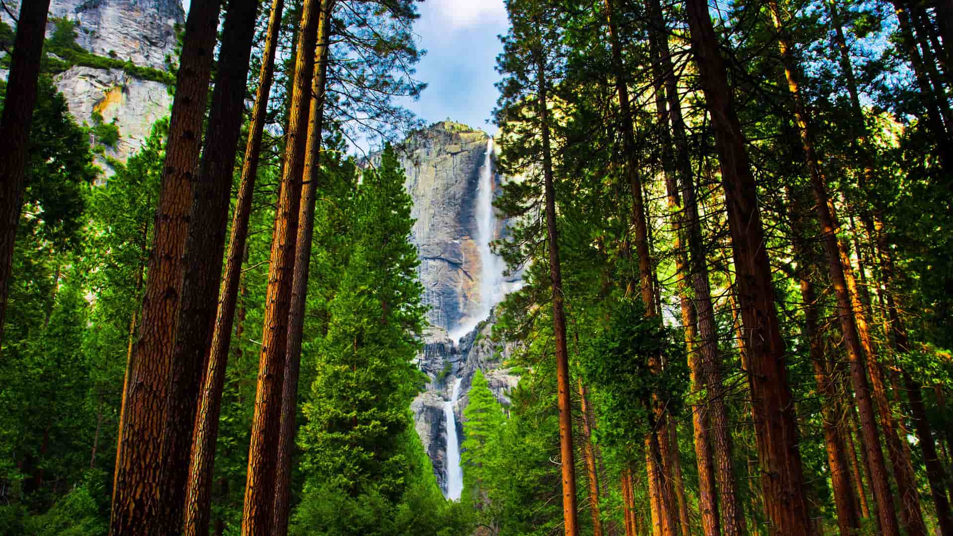 "A majestic view of a powerful waterfall cascading down a granite cliff face, framed by towering giant sequoia trees in Sequoia National Park, California. "