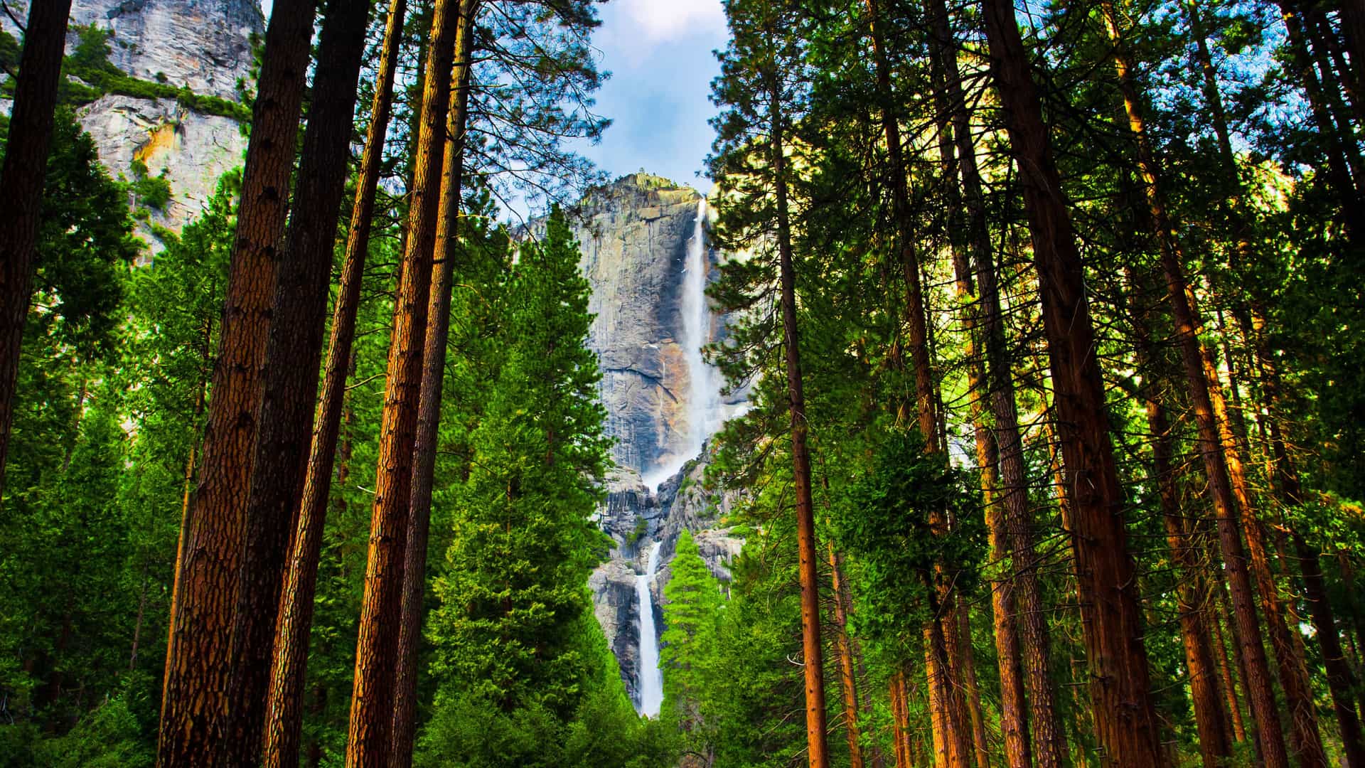 "A majestic view of a powerful waterfall cascading down a granite cliff face, framed by towering giant sequoia trees in Sequoia National Park, California. "